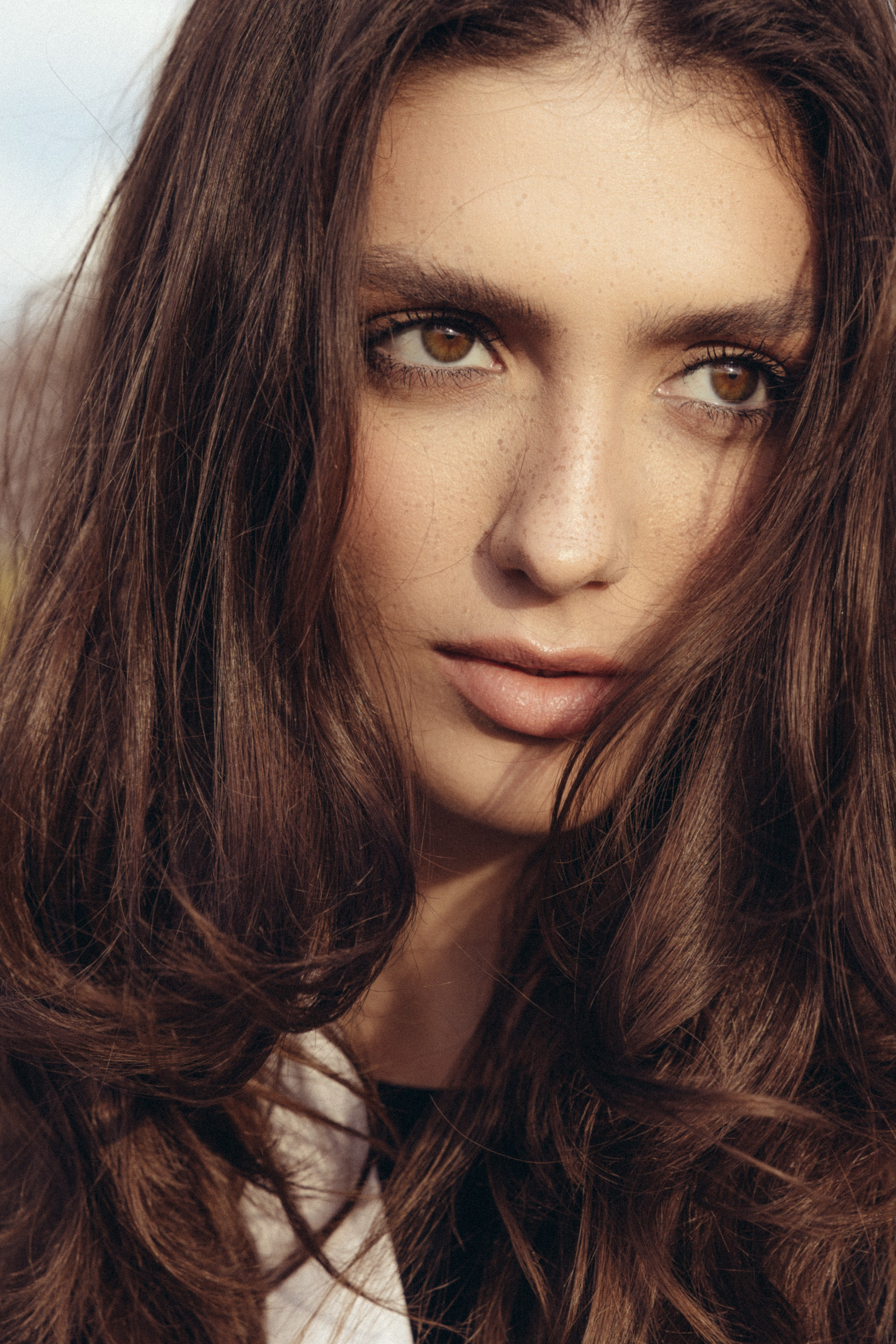 BOOK. MONSTERA MODELS