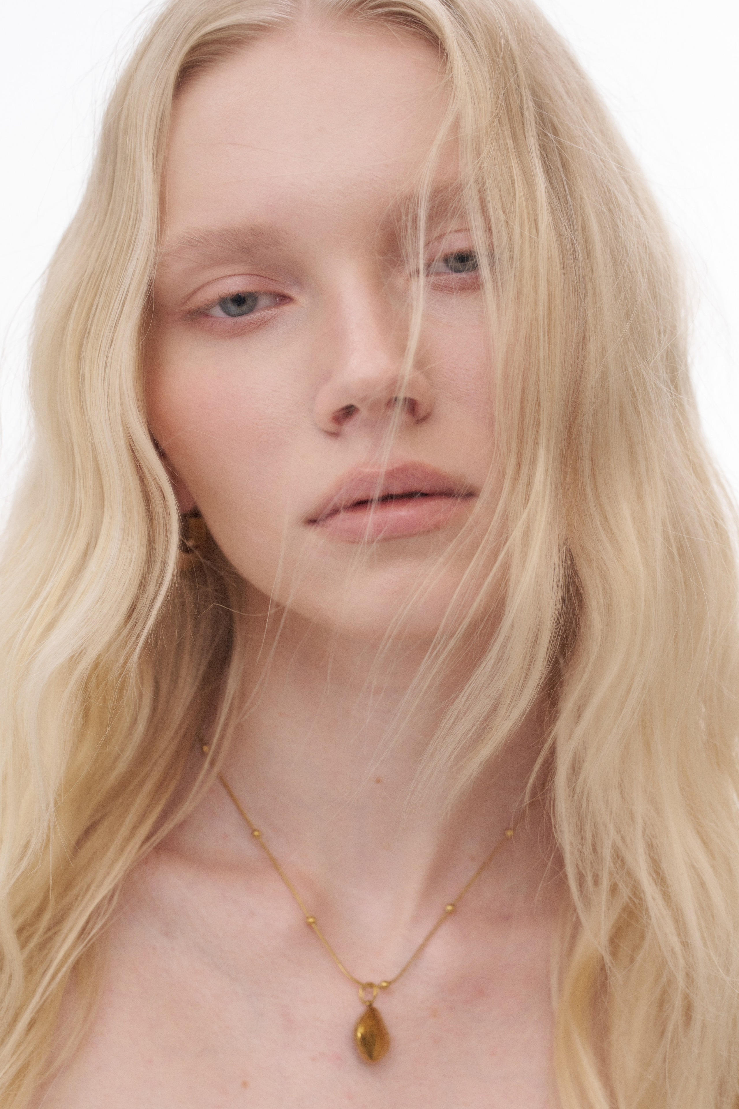 BOOK. MONSTERA MODELS