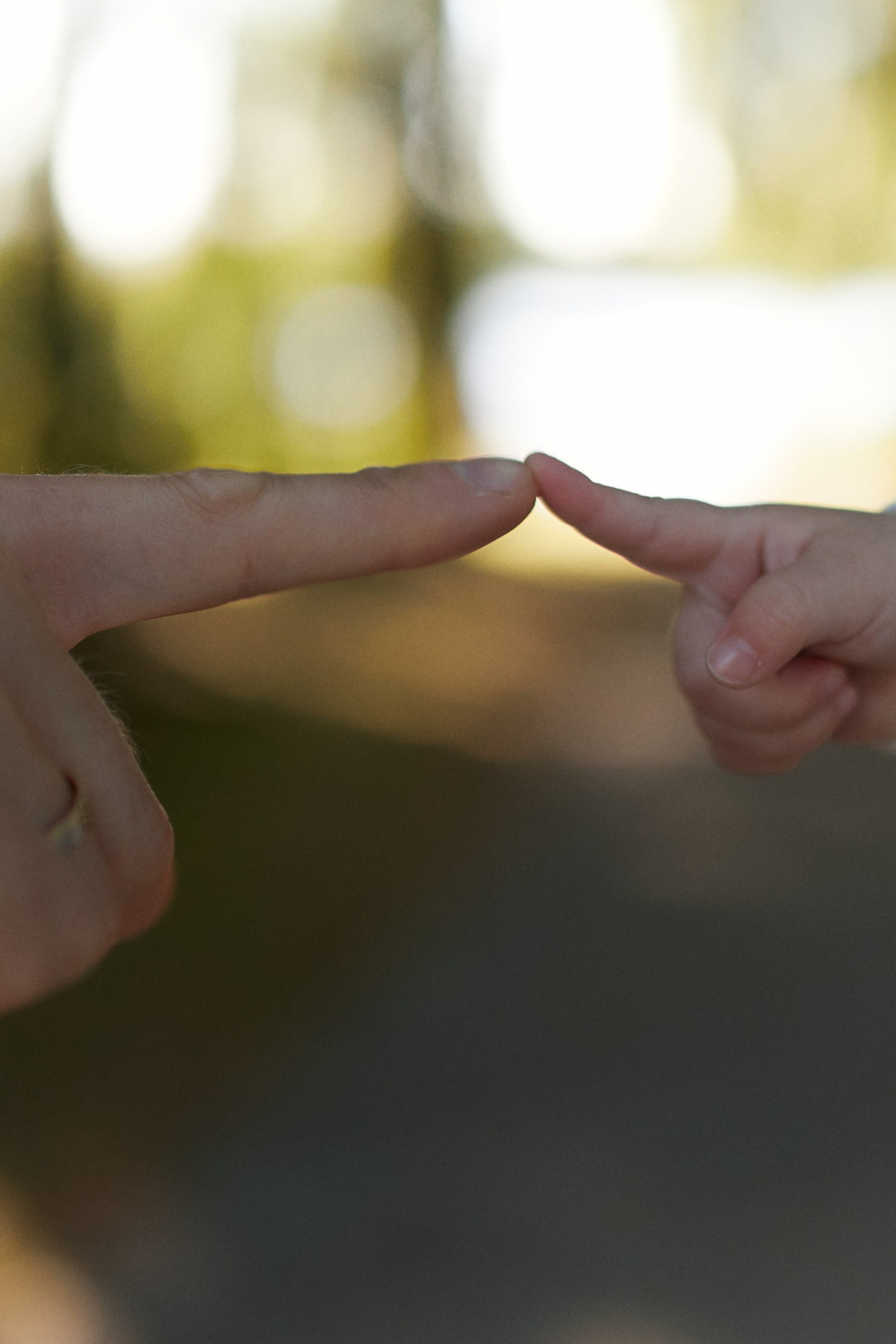 Прогулка в Коломенском