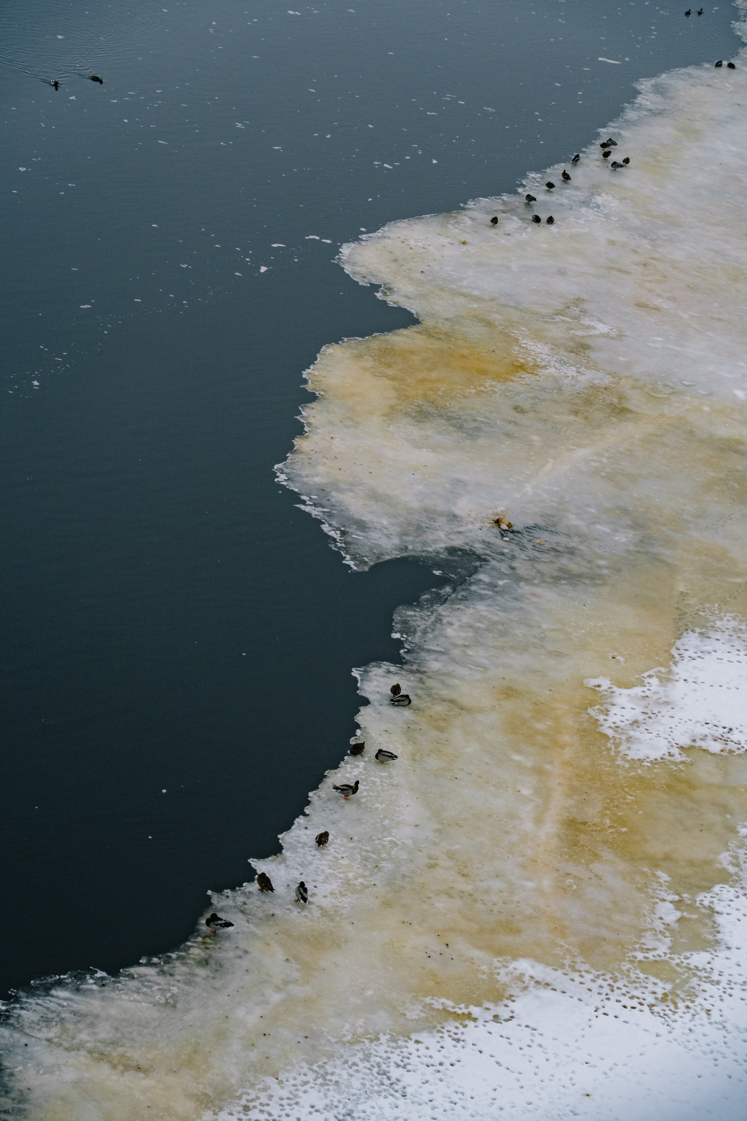 НОВОСТИ. Детский, семейный и ньюборн фотограф в Москве Юлия Шуарт