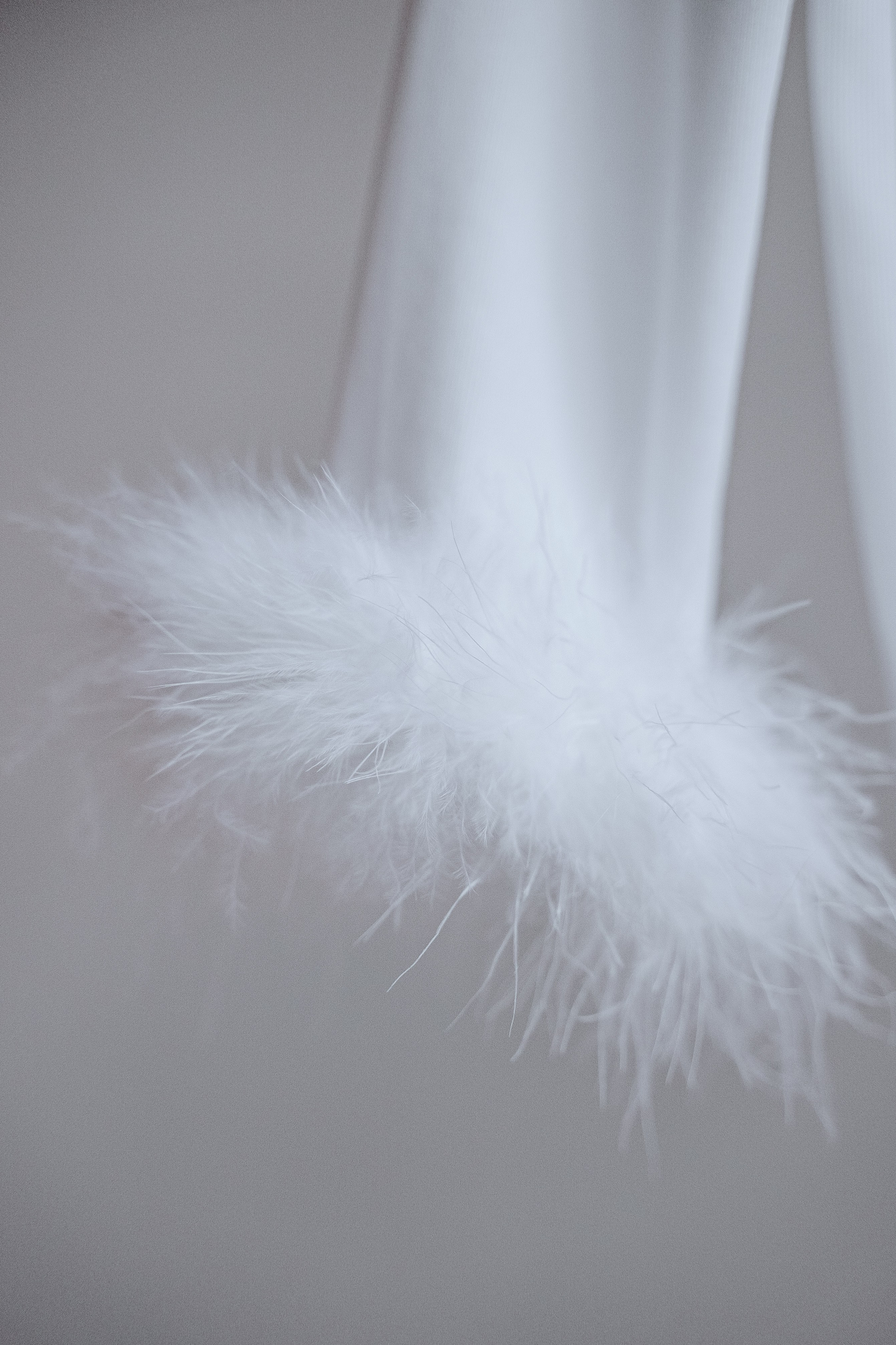 ВОДОЛАЗКИ С ПЕРЬЯМИ 92-100. Фотостудия в Люберцах