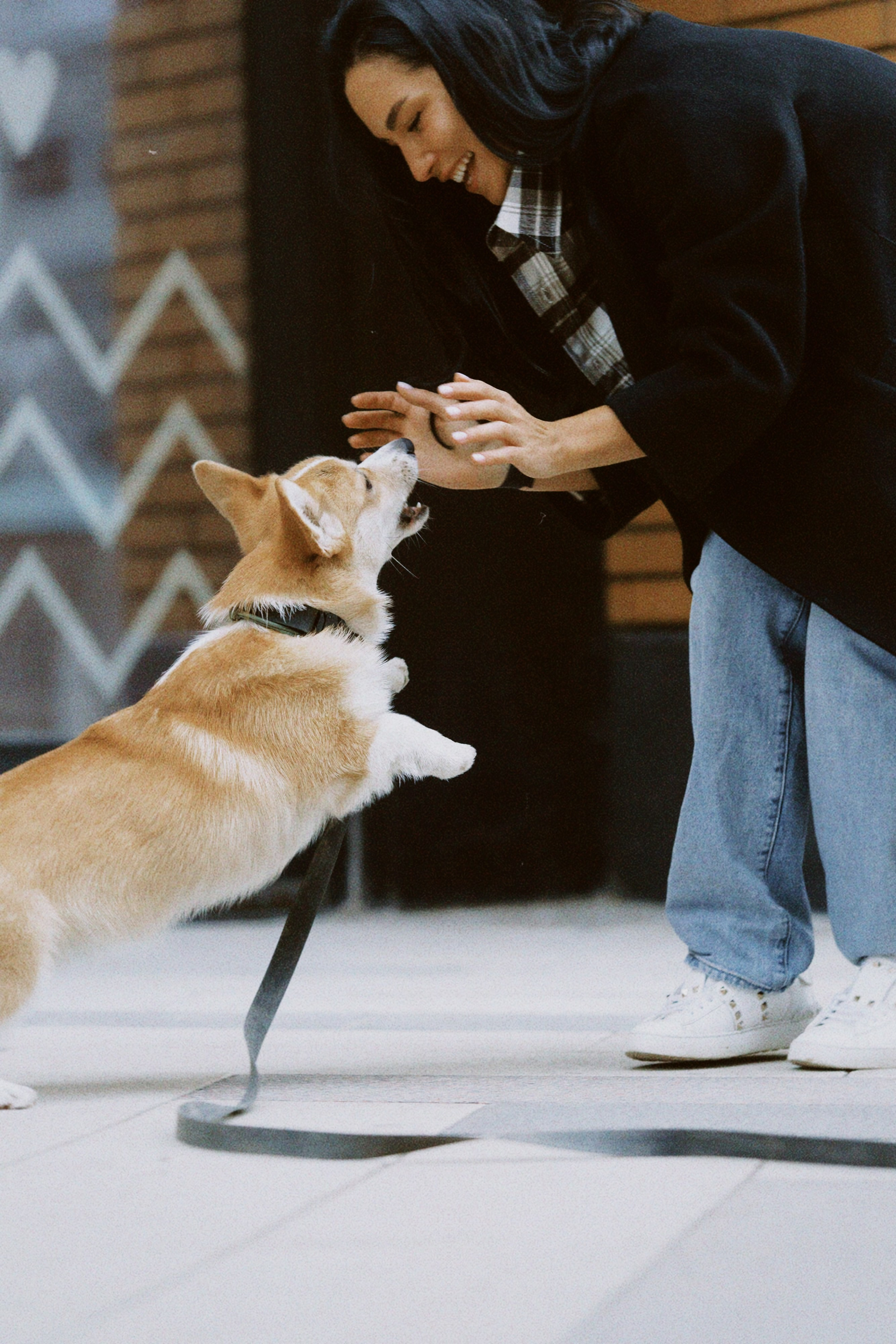Евгения и Харли. Фотограф в Москве