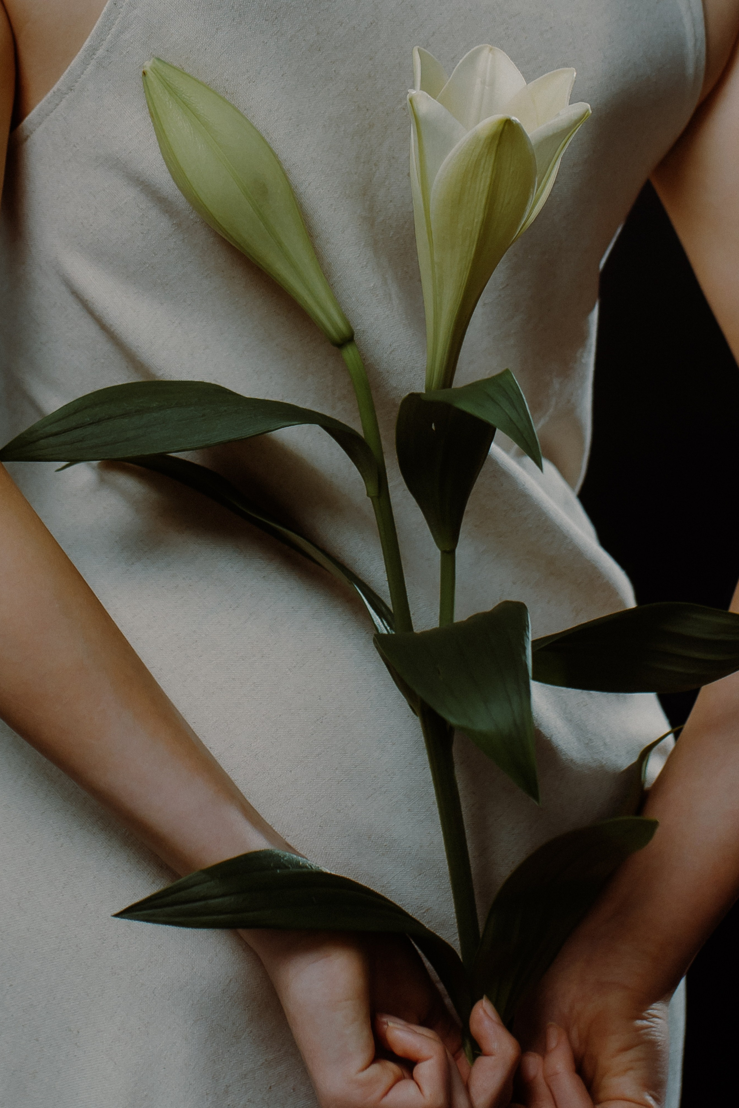 Обучаю работе со светом, моделью. Примеры световых схем для учеников. Фотограф в Москве