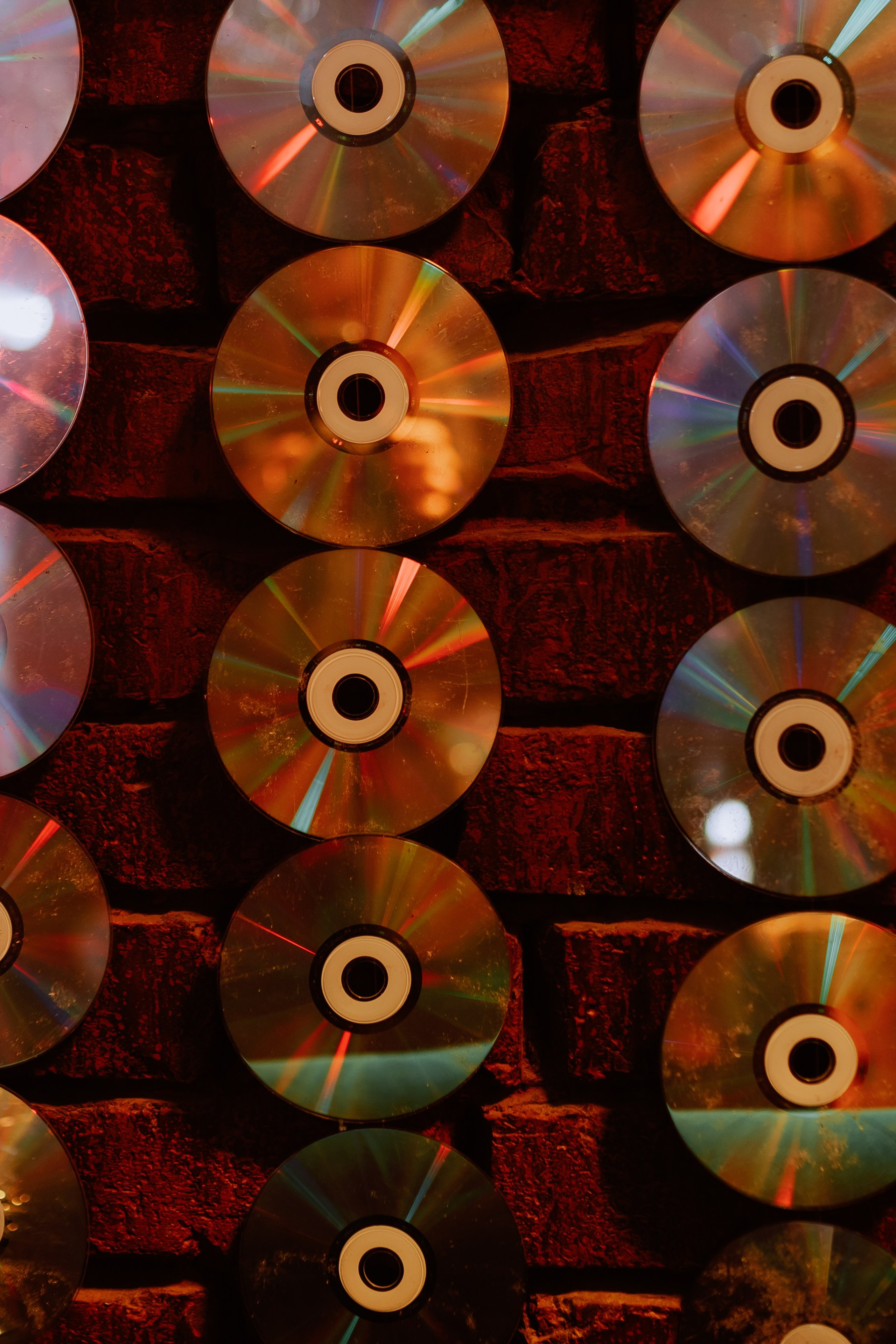 Организованная песенная гулянка!. Фотограф в Москве