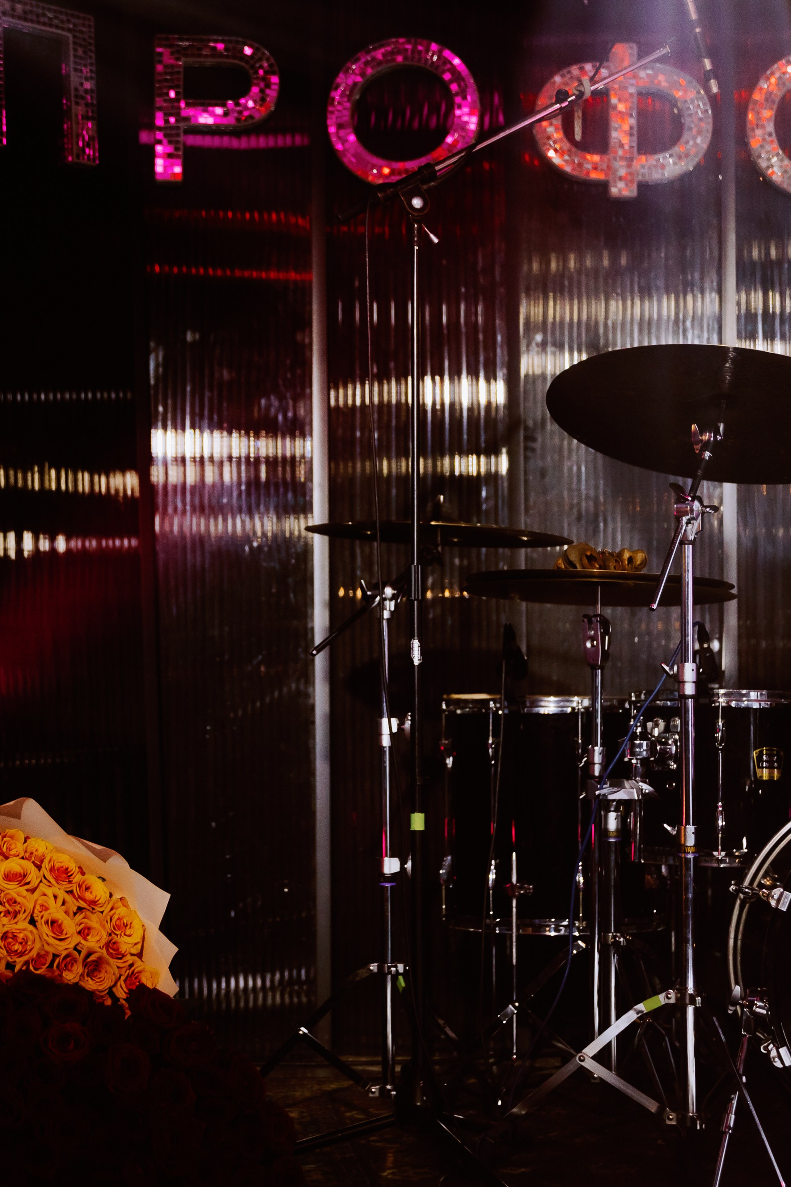 Концерт/ Mariana. Фотограф в Москве