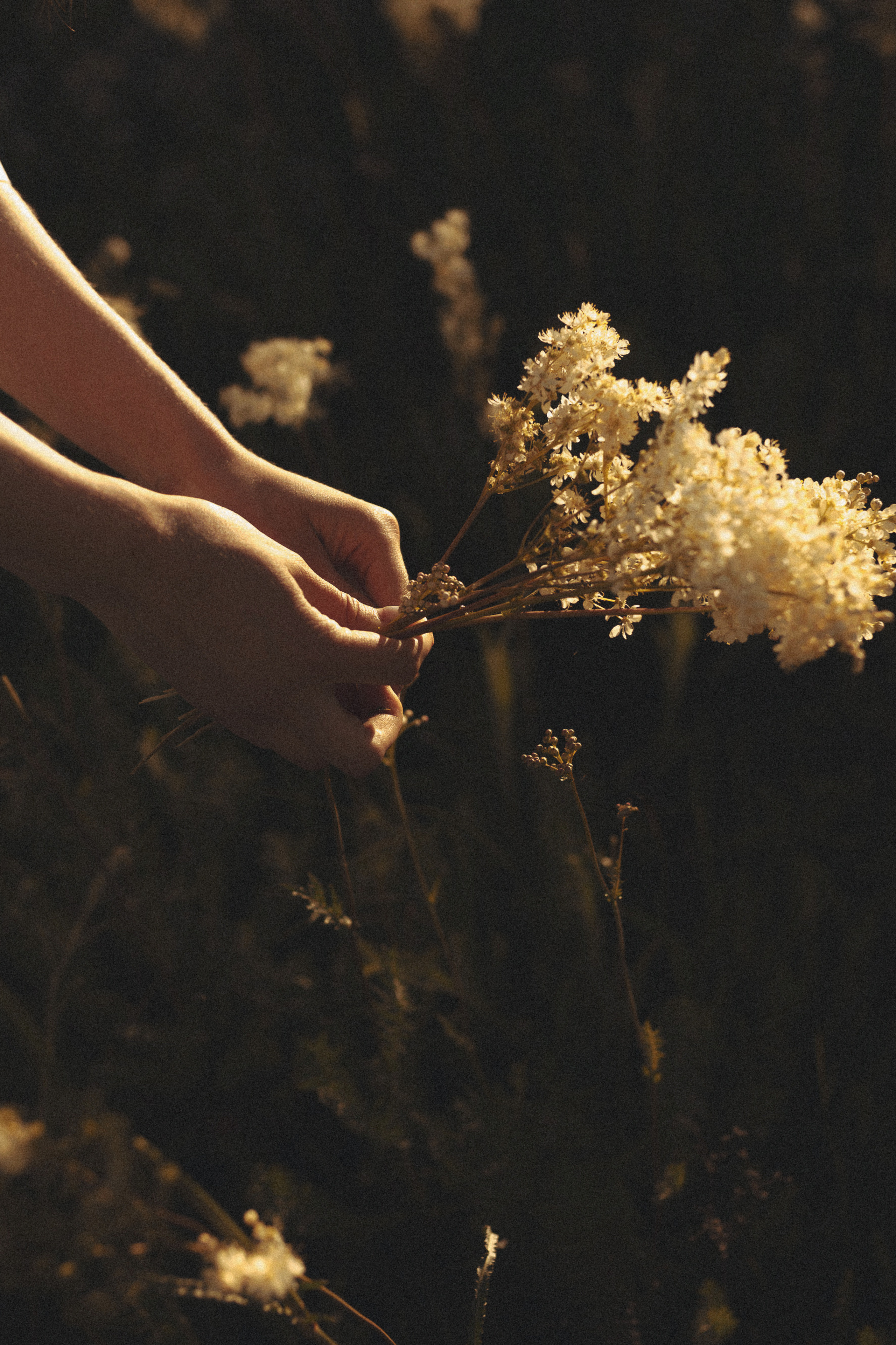 Теплое. Фотограф в Москве