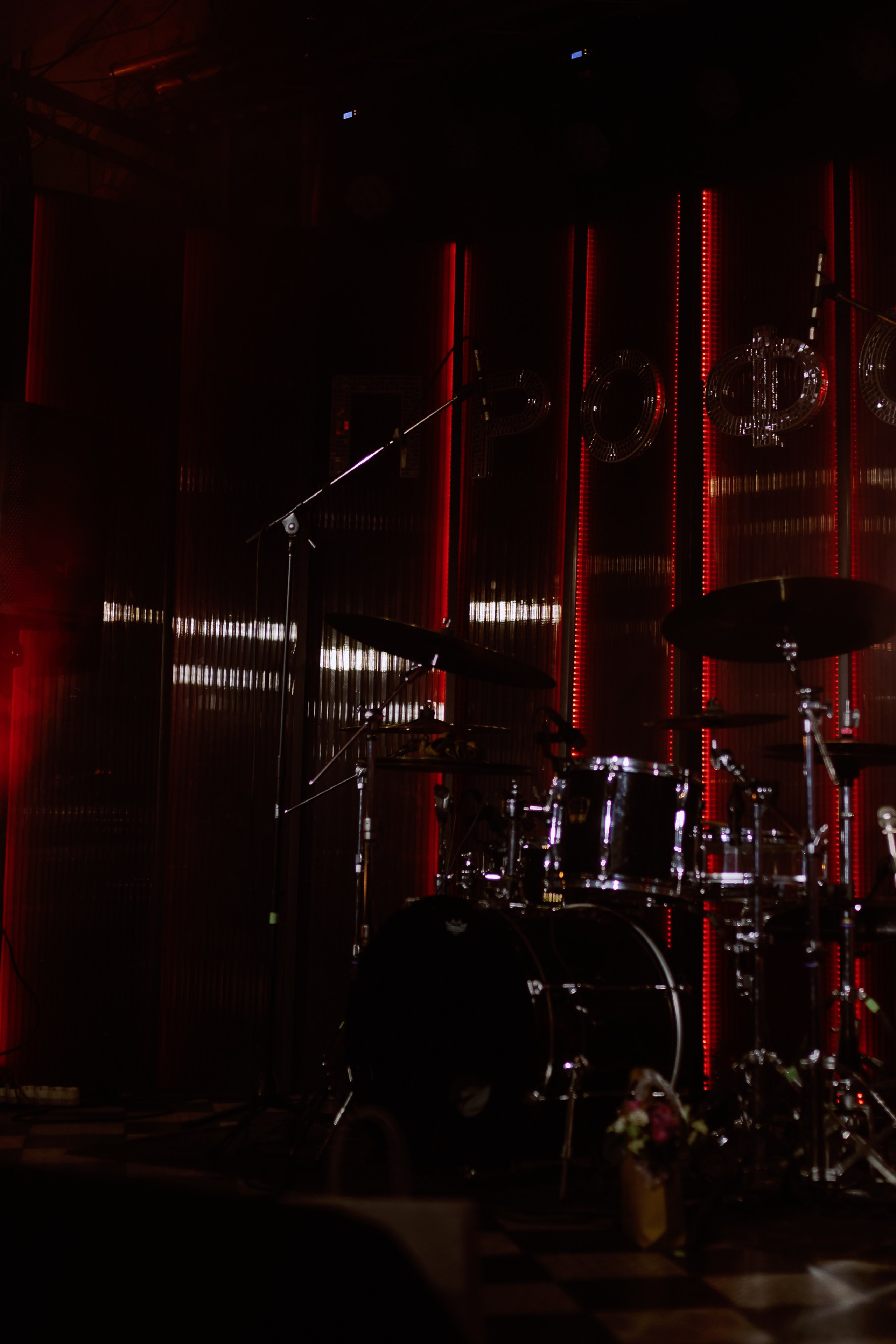 Концерт/ Mariana. Фотограф в Москве