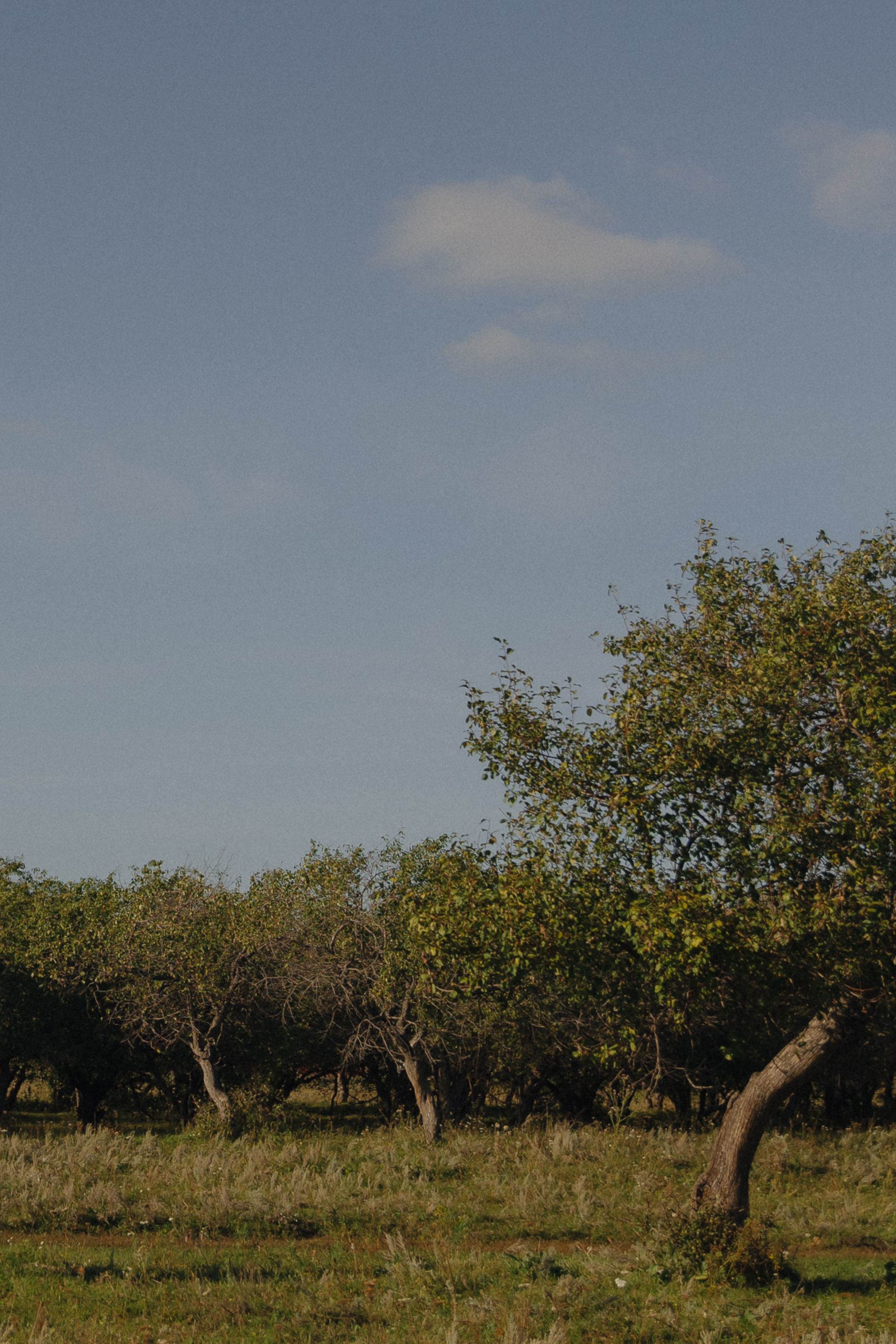 РАДОСТЬ — ТО КАКАЯ =*. Фотограф в Москве