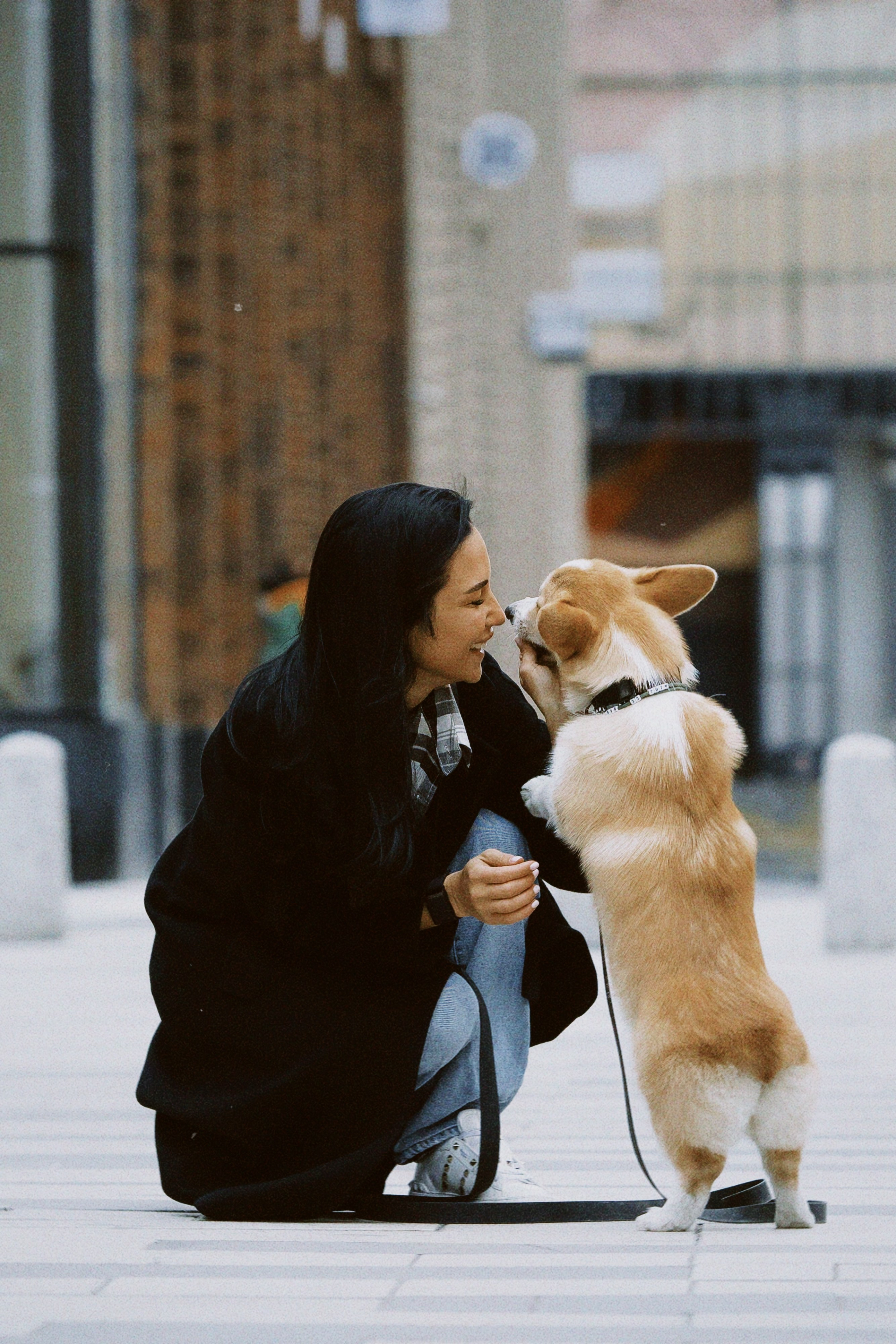 Евгения и Харли. Фотограф в Москве
