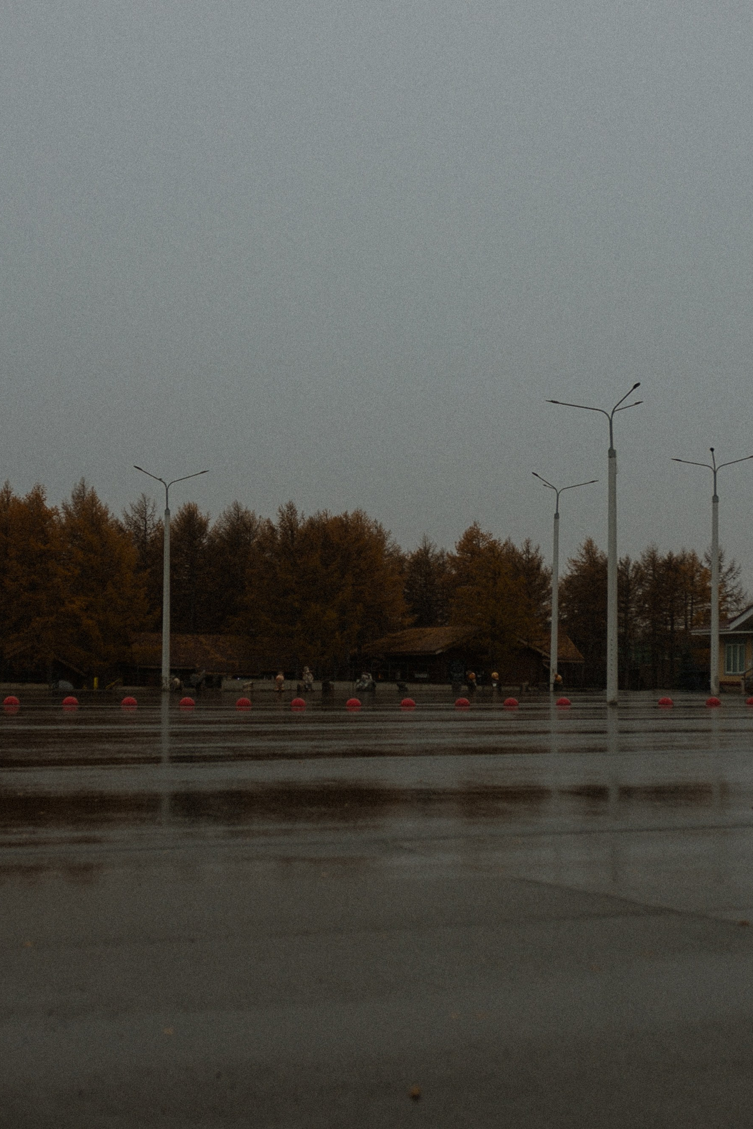 Полина. Шляпа. Дождь. Фотограф в Москве