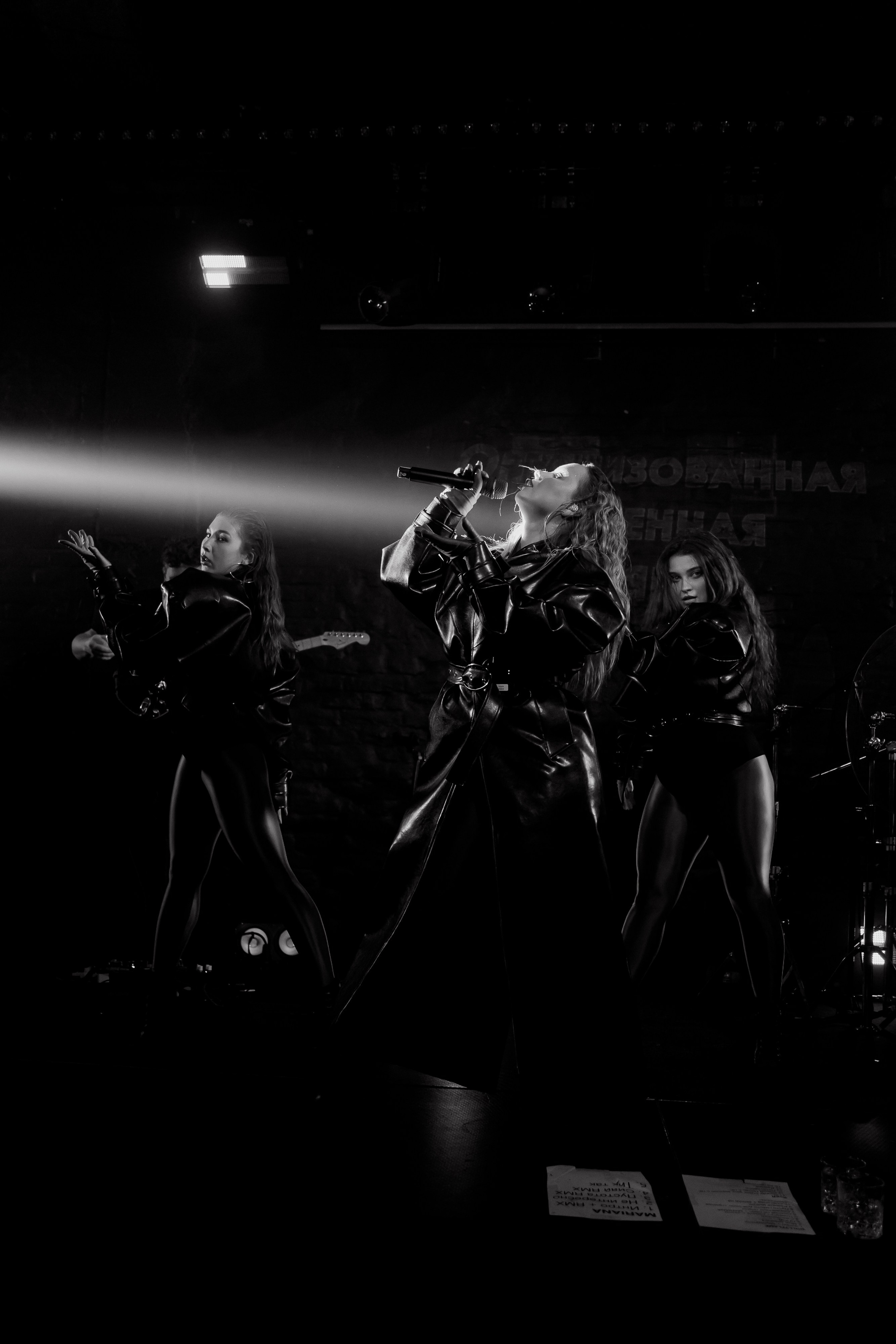 Организованная песенная гулянка!. Фотограф в Москве