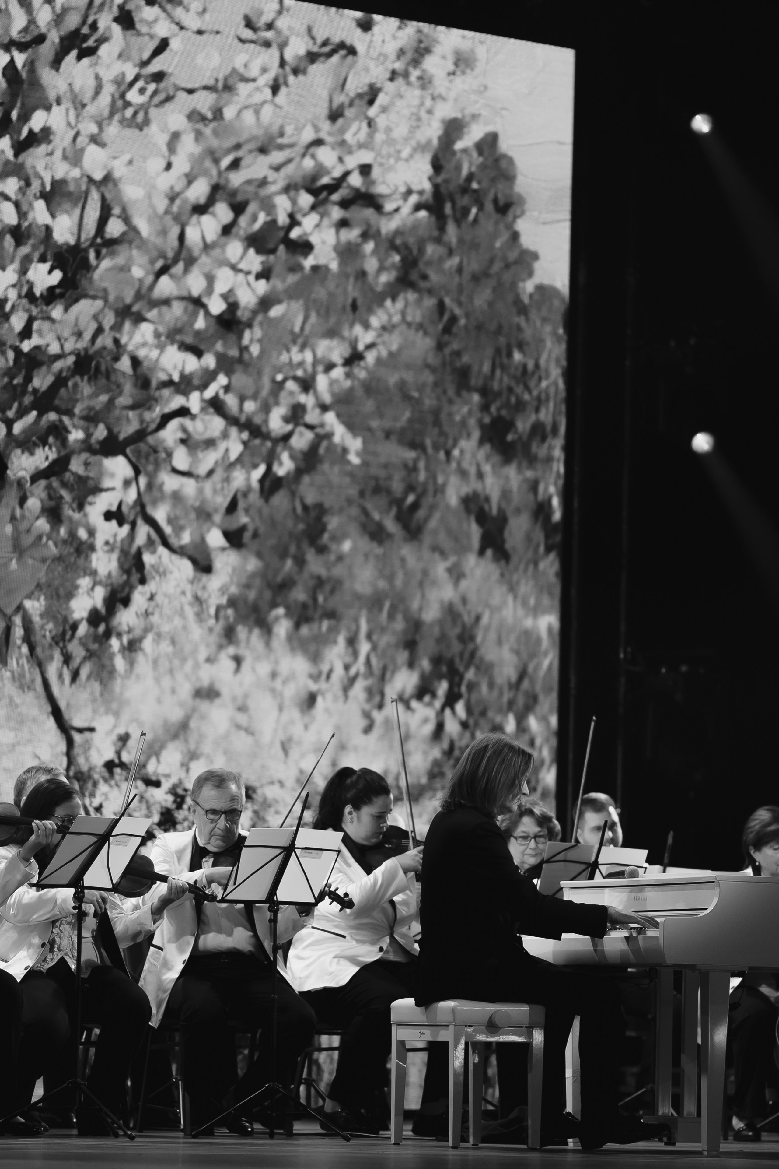 Национальная премия ЖЕНЩИНЫ РОССИИ. Фотограф в Москве