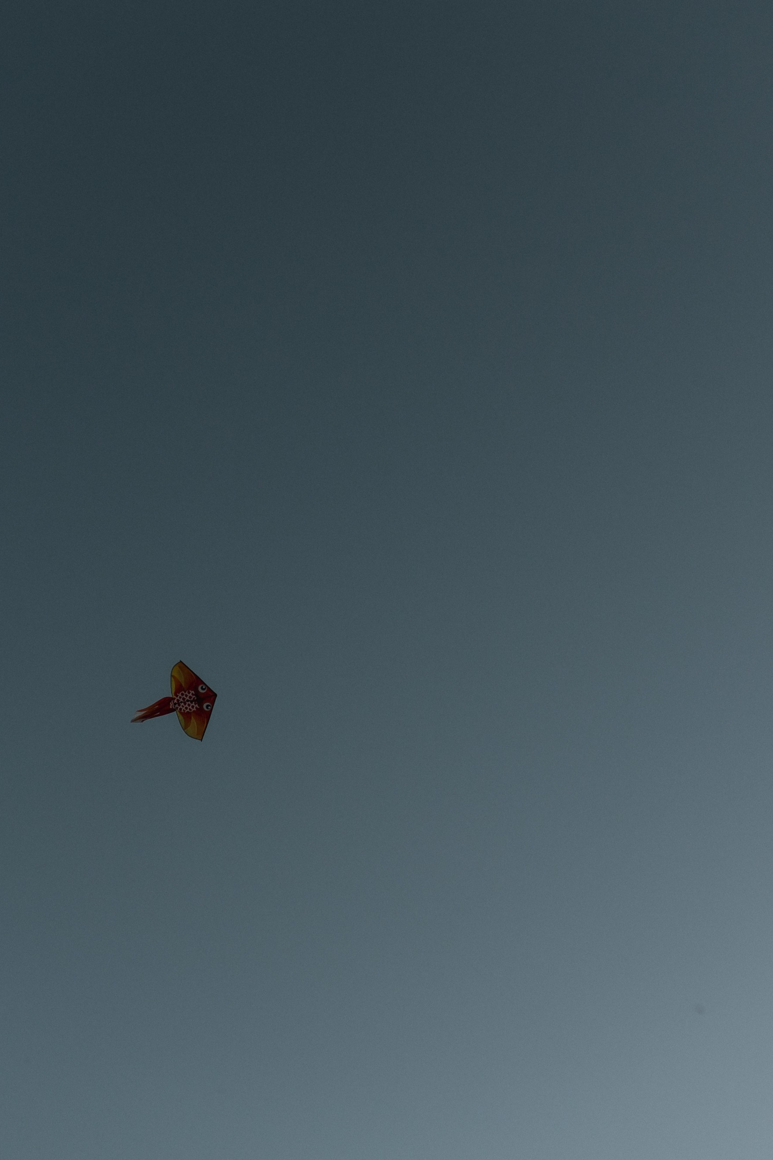 ЛЮБЛЮ ТЕБЯ ДО ЛУНЫ И ОБРАТНО. Фотограф в Москве