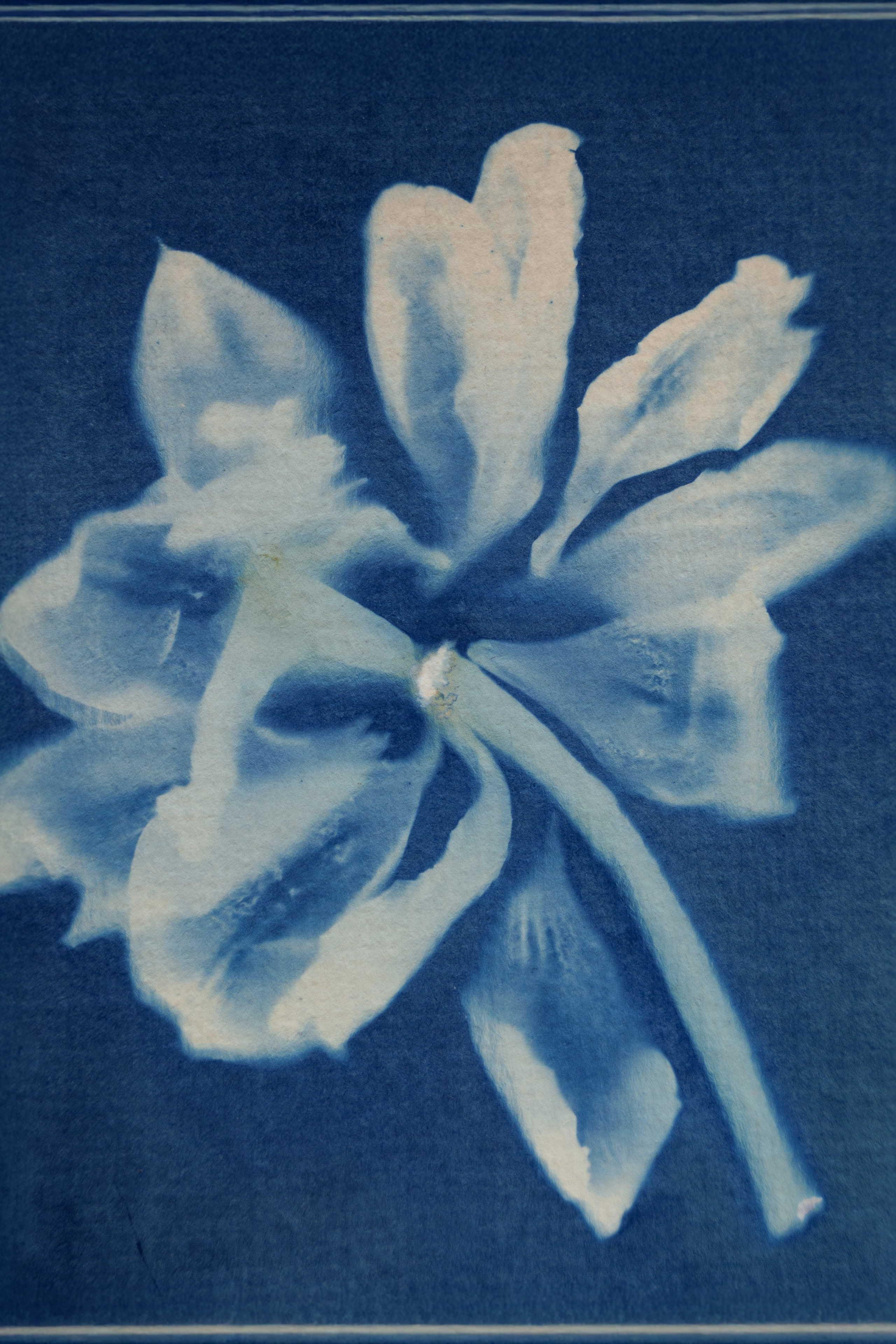 Блог. Портретный фотограф в Санкт-Петербурге Дария Сыч