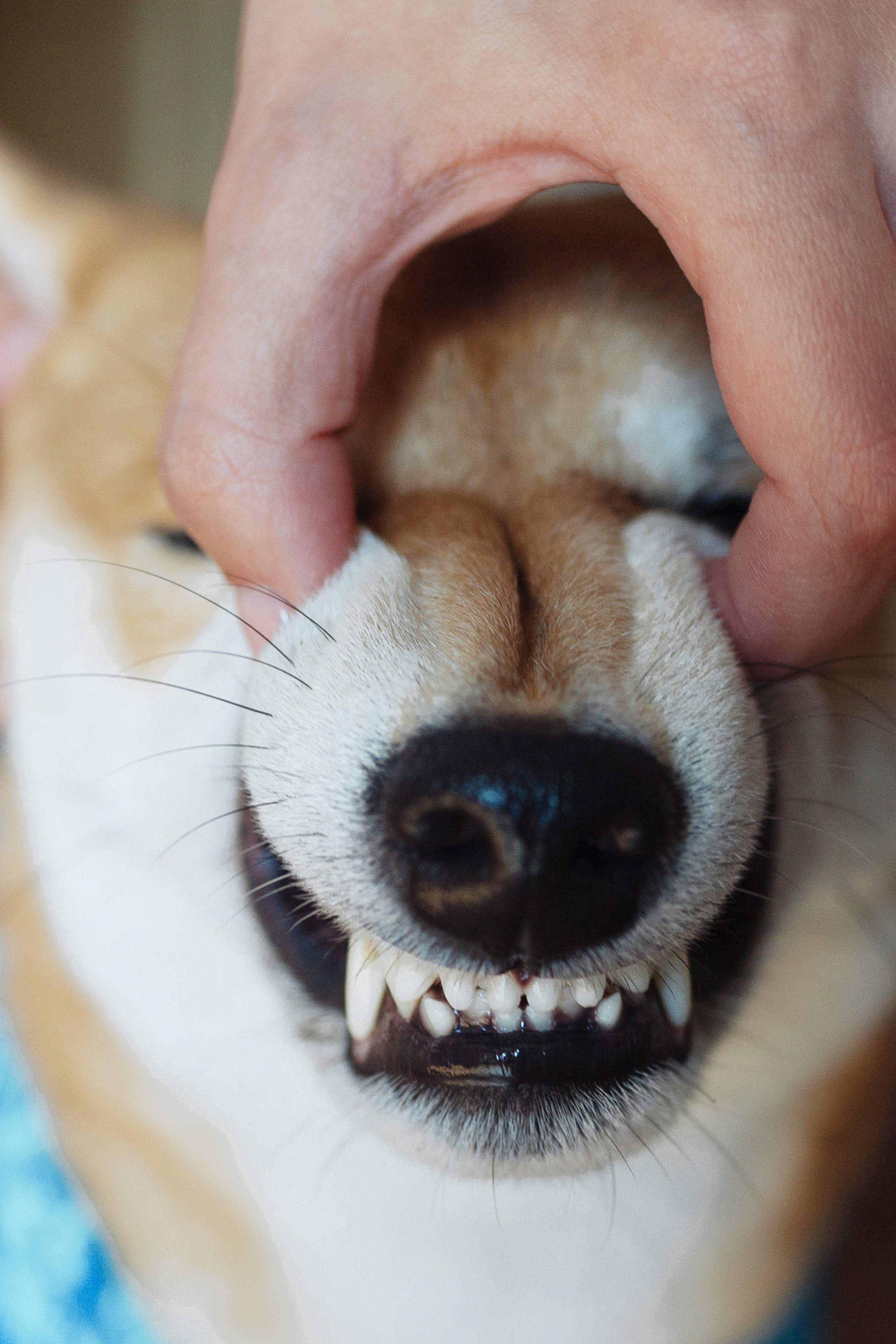 В Москве +20