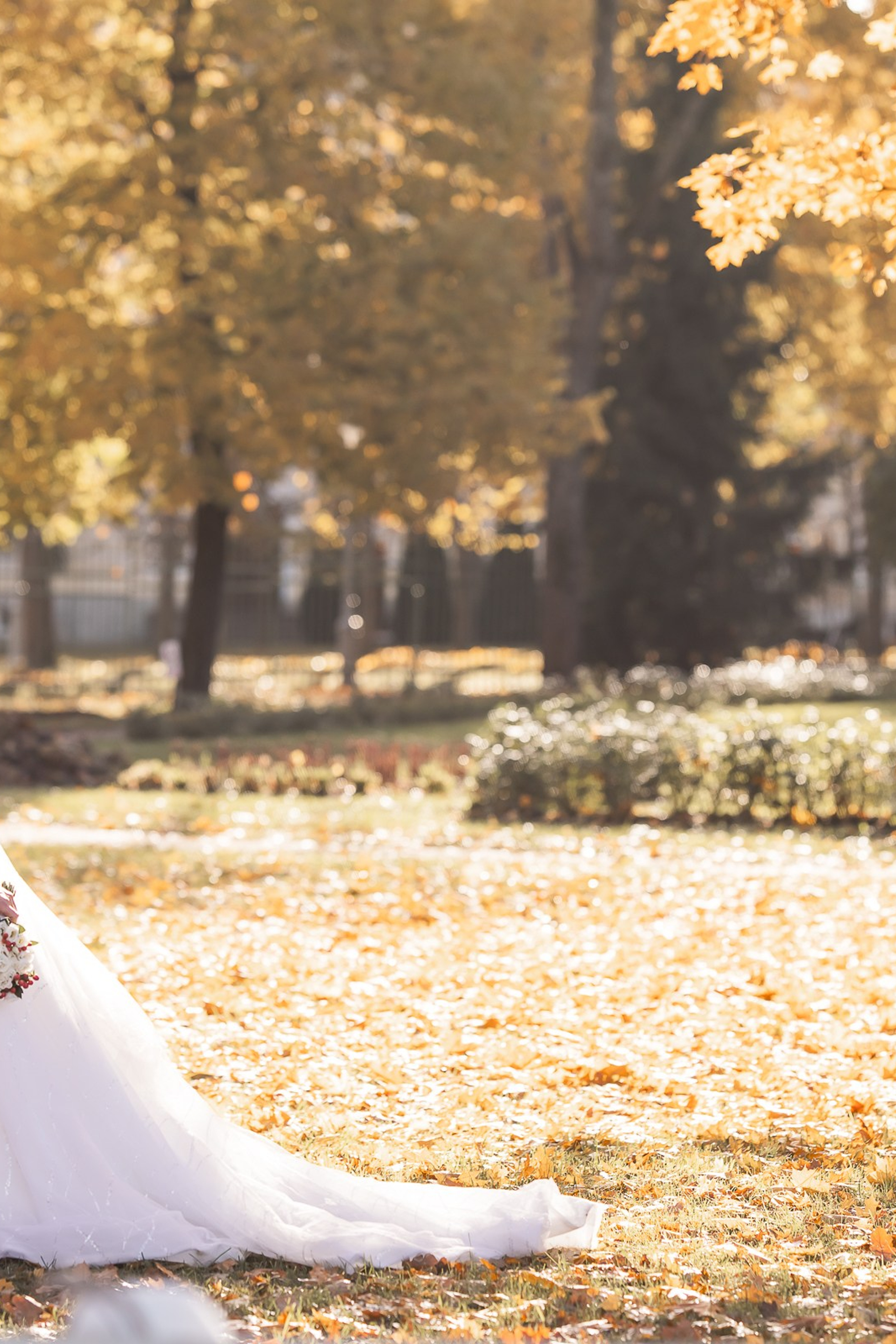 Истории. Свадебный и семейный фотограф в Колпино и СПб Юлия Папанова