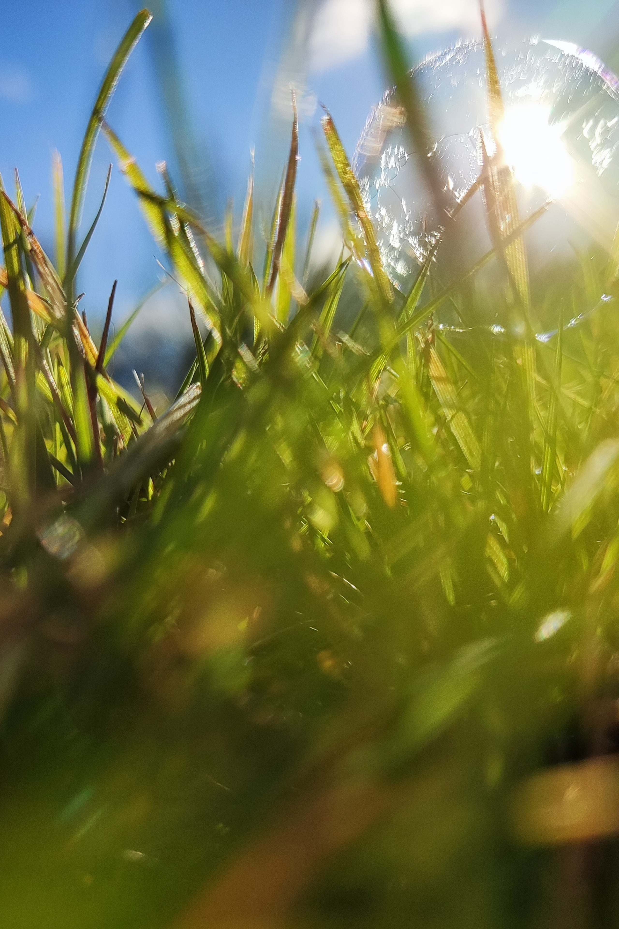 Истории. F.O.xygen