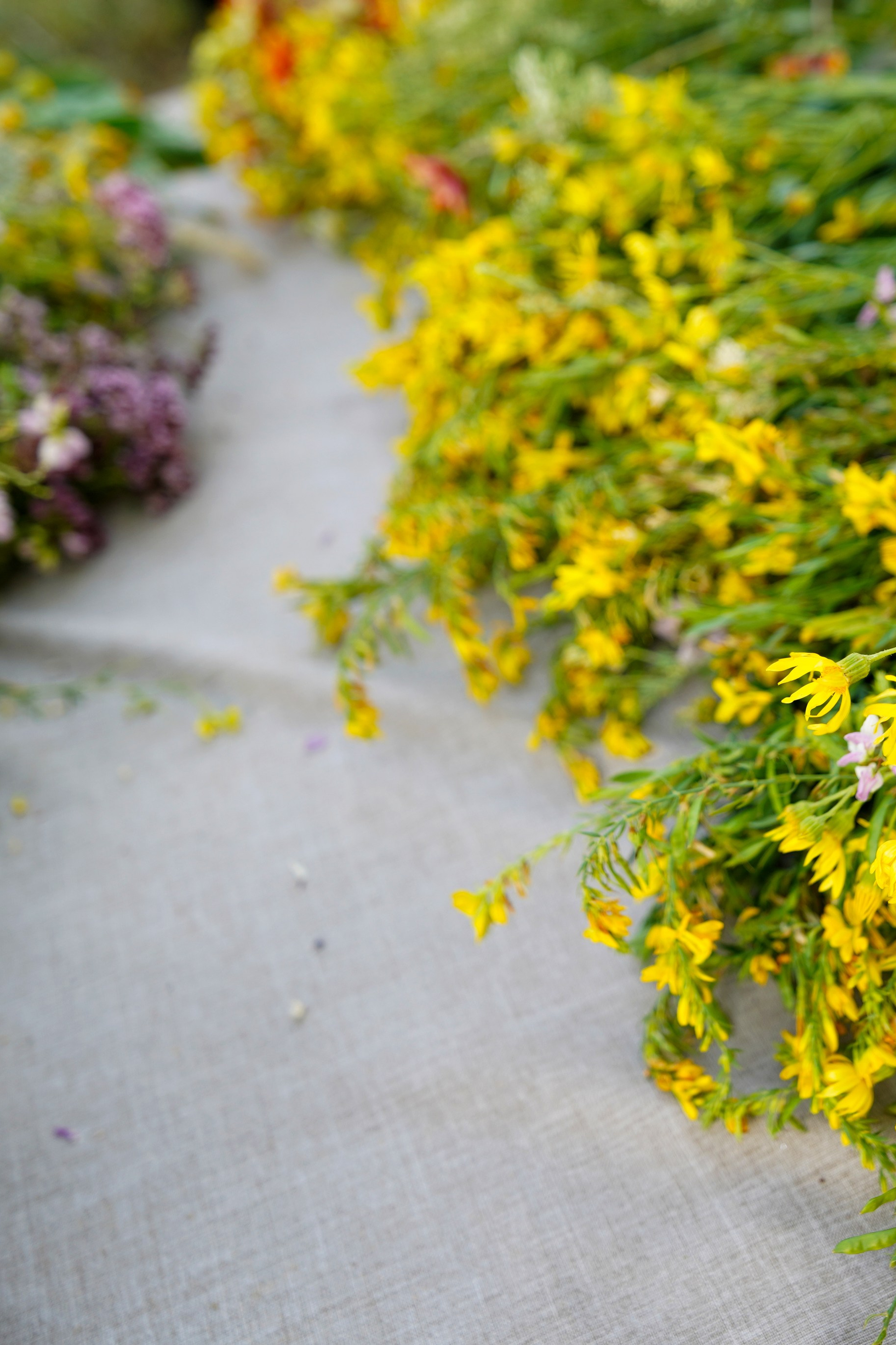 День любви, семьи и&nbsp;верности в&nbsp; ресторане Vero Gusto