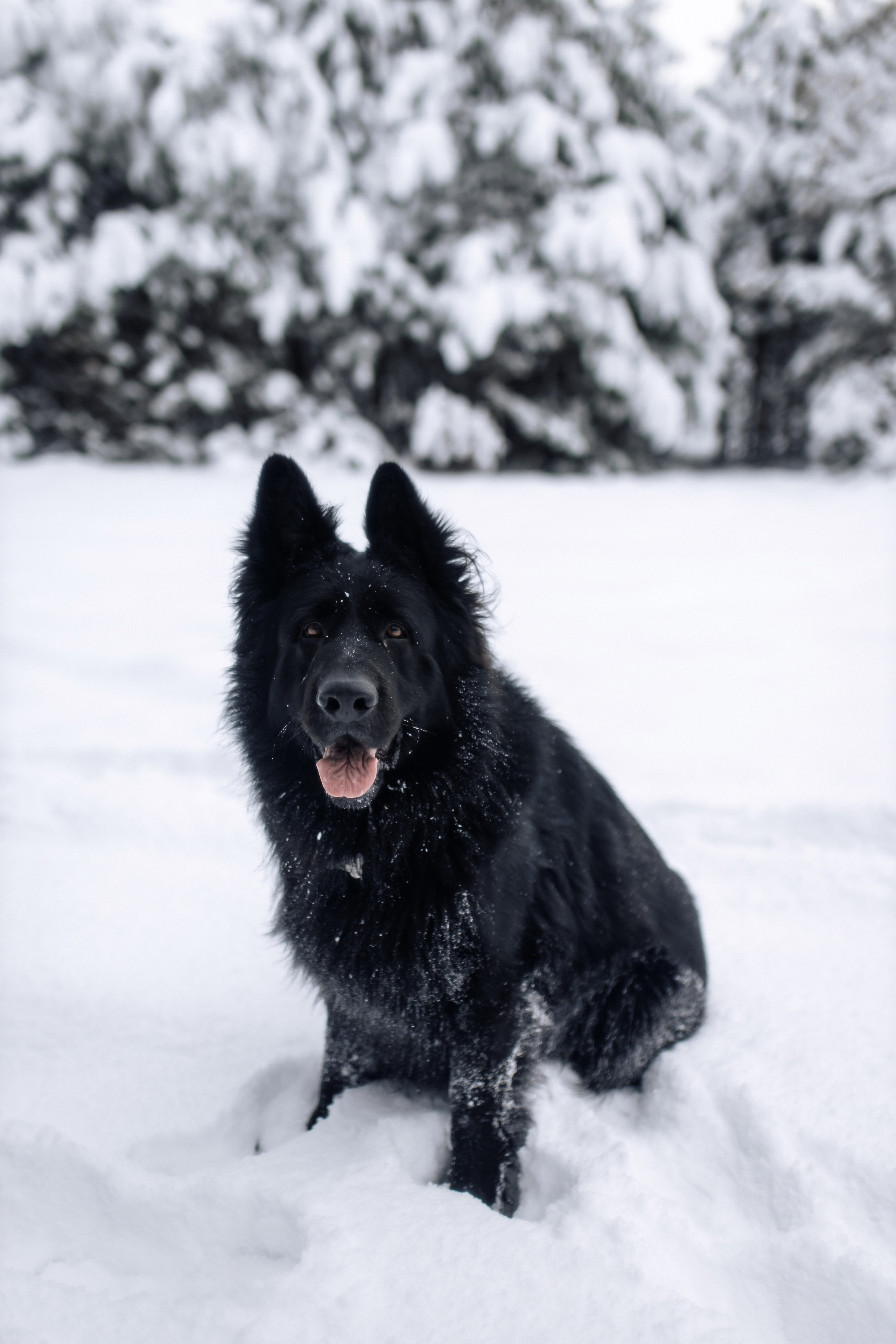 Бранч невест. Свадебный фотограф в Севастополе и Крыму| Tanya Sher