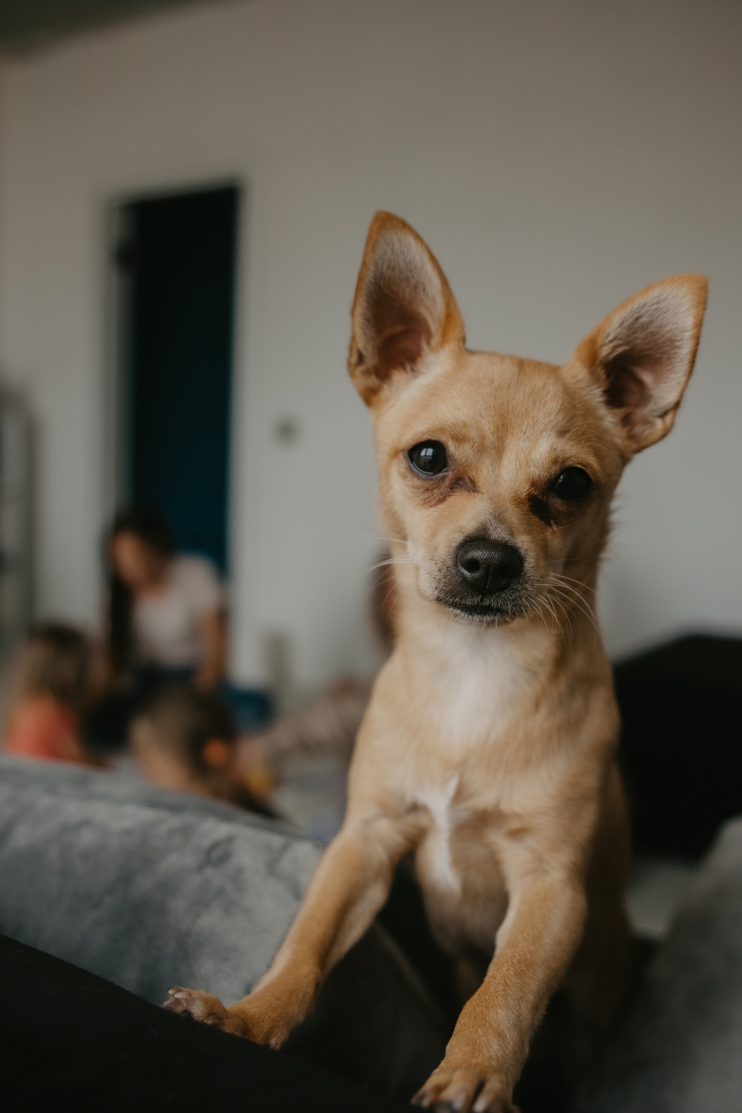 Интересное. Фотограф Надежда Московская