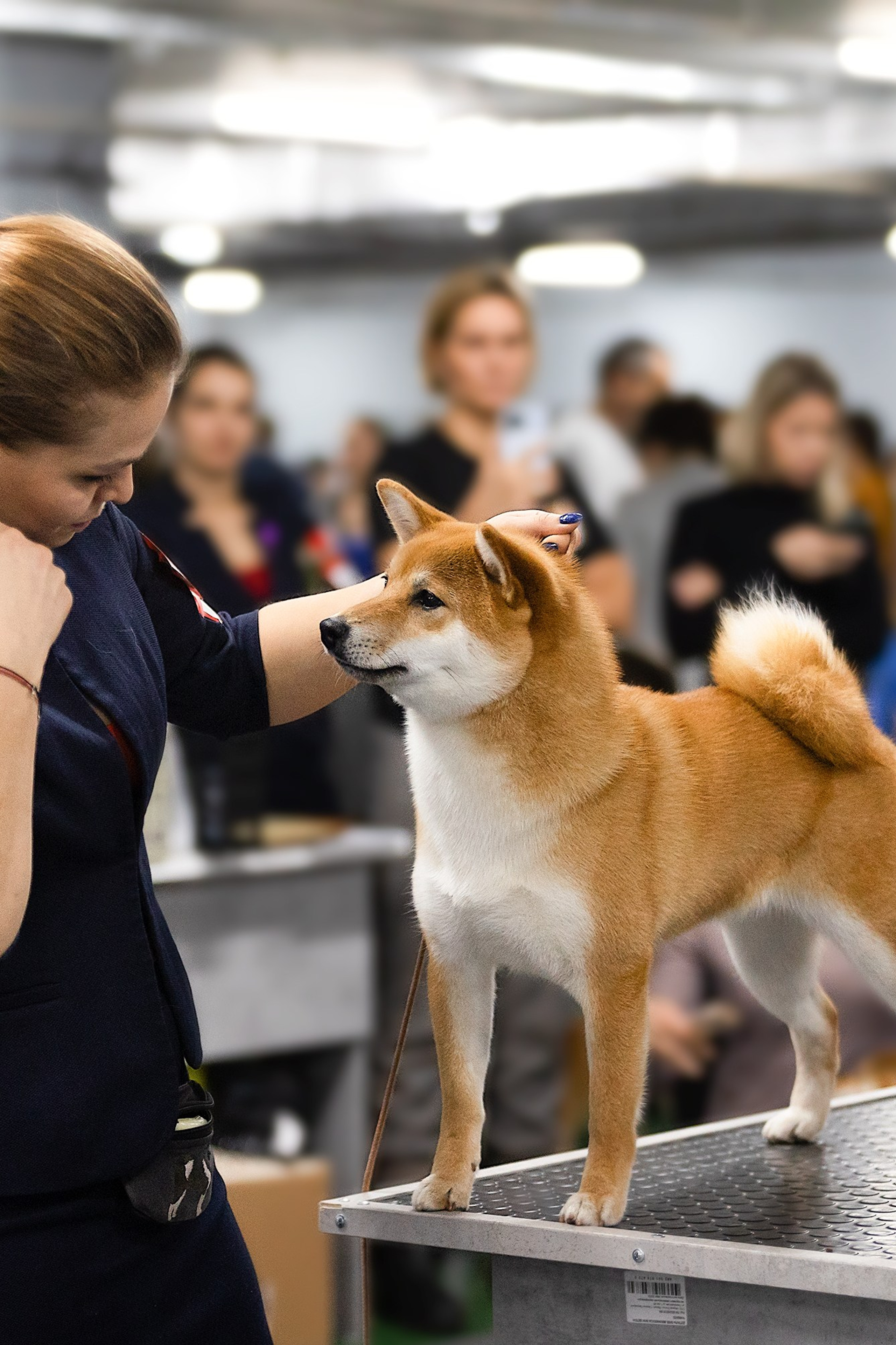 Отзывы. Фотограф. Фотограф-анималист. Москва