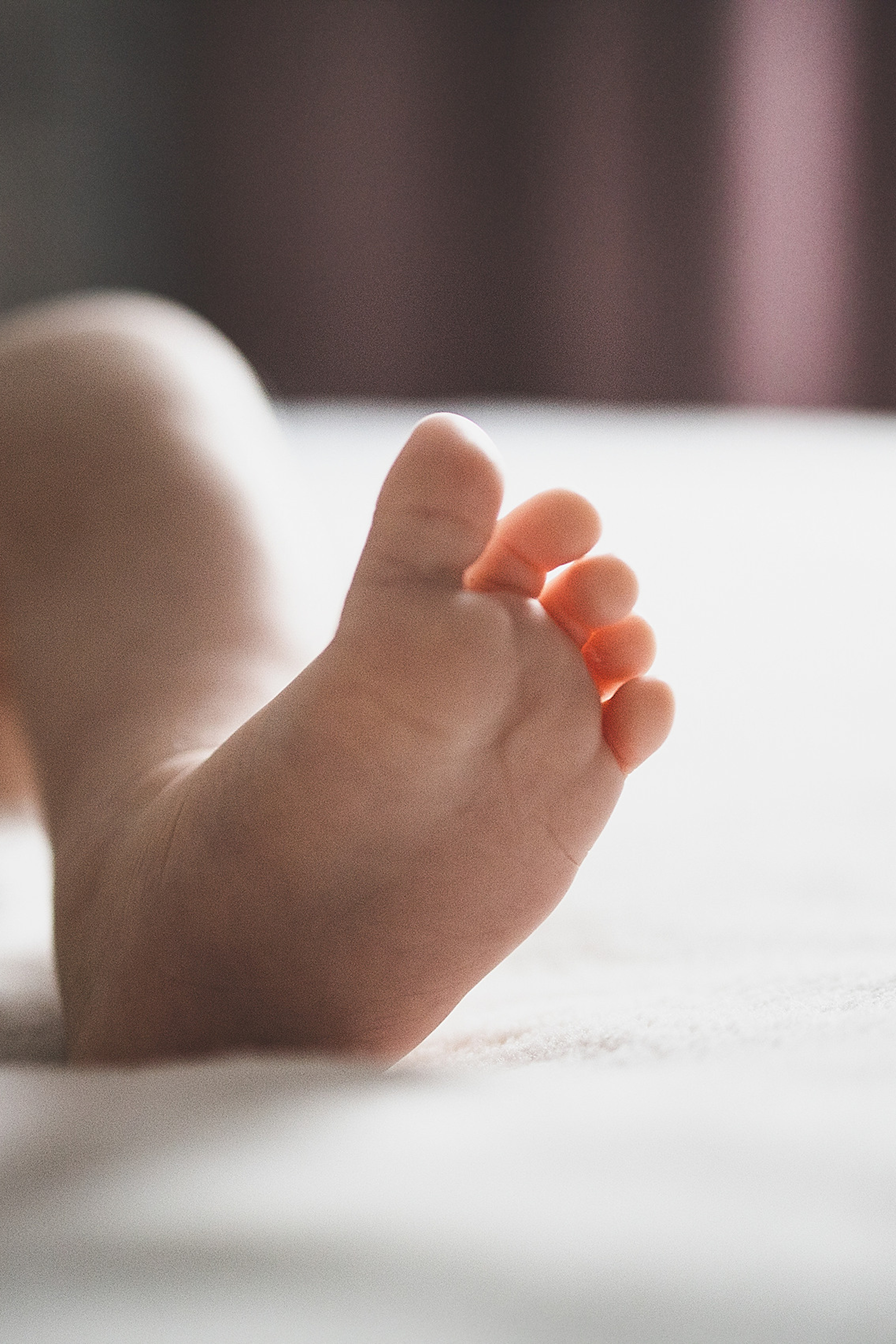 Отзывы. Фотограф. Фотограф-анималист. Москва