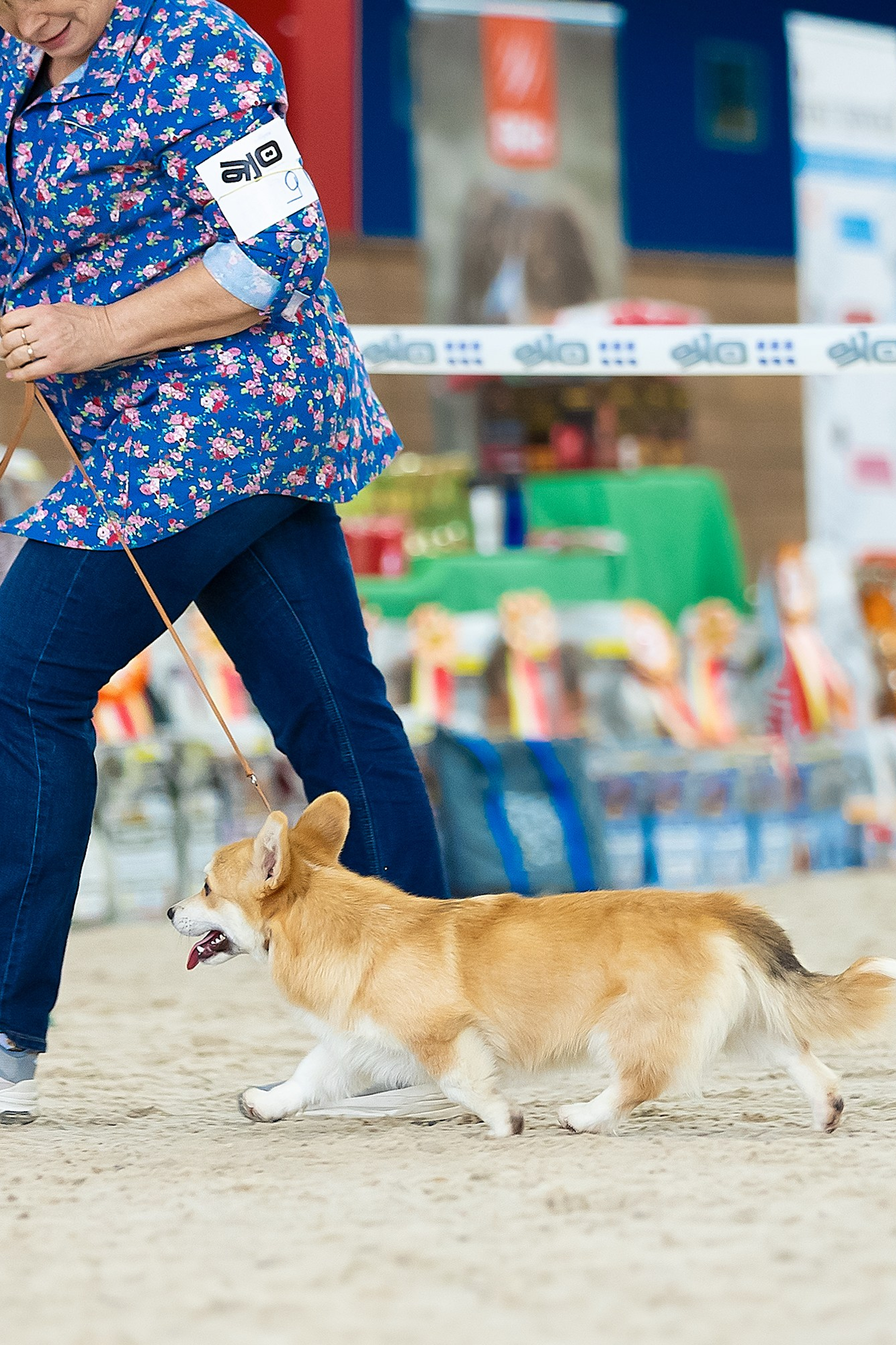 Отзывы. Фотограф. Фотограф-анималист. Москва