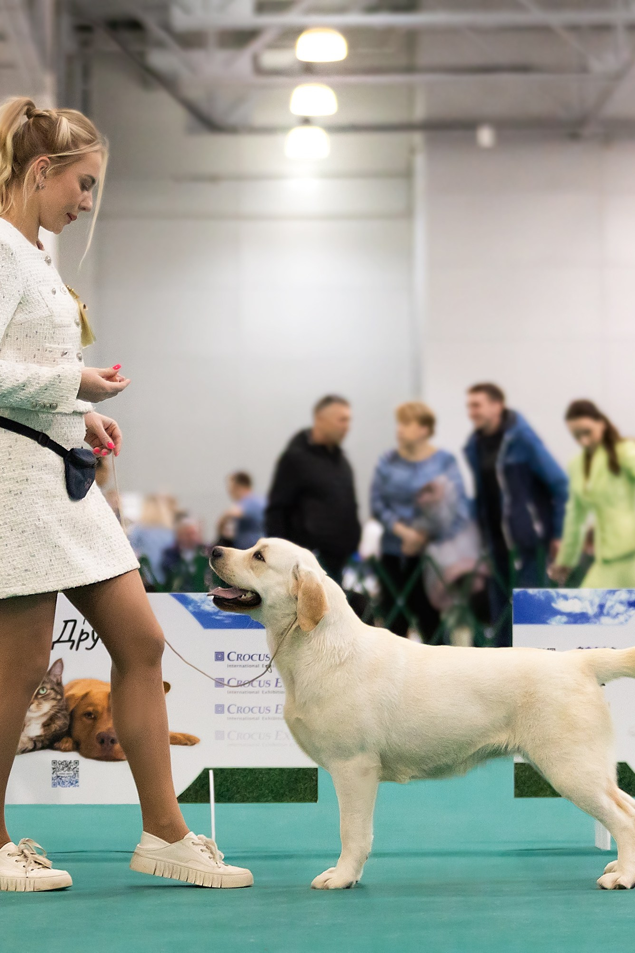 Отзывы. Фотограф. Фотограф-анималист. Москва
