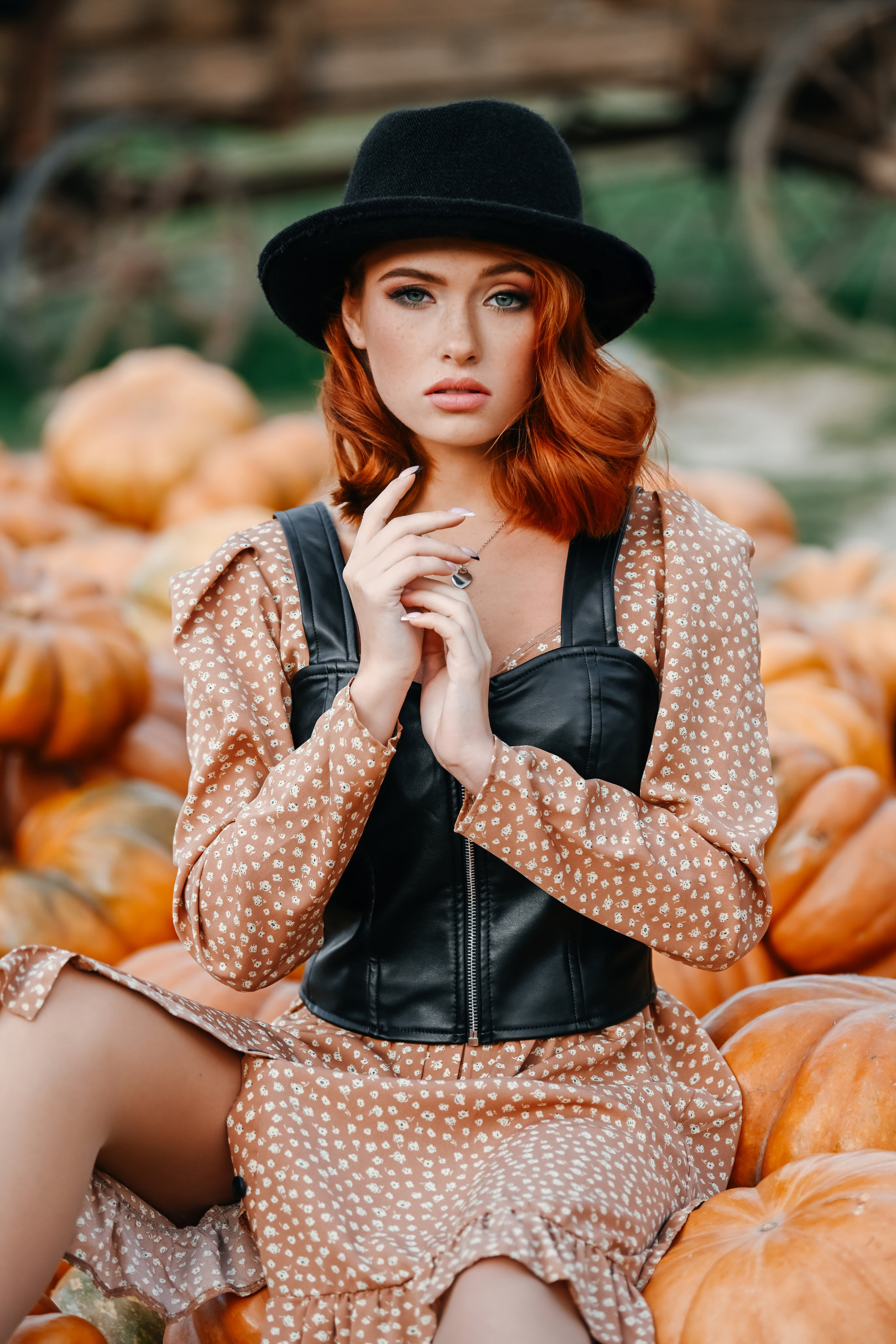 На ферме с тыквами