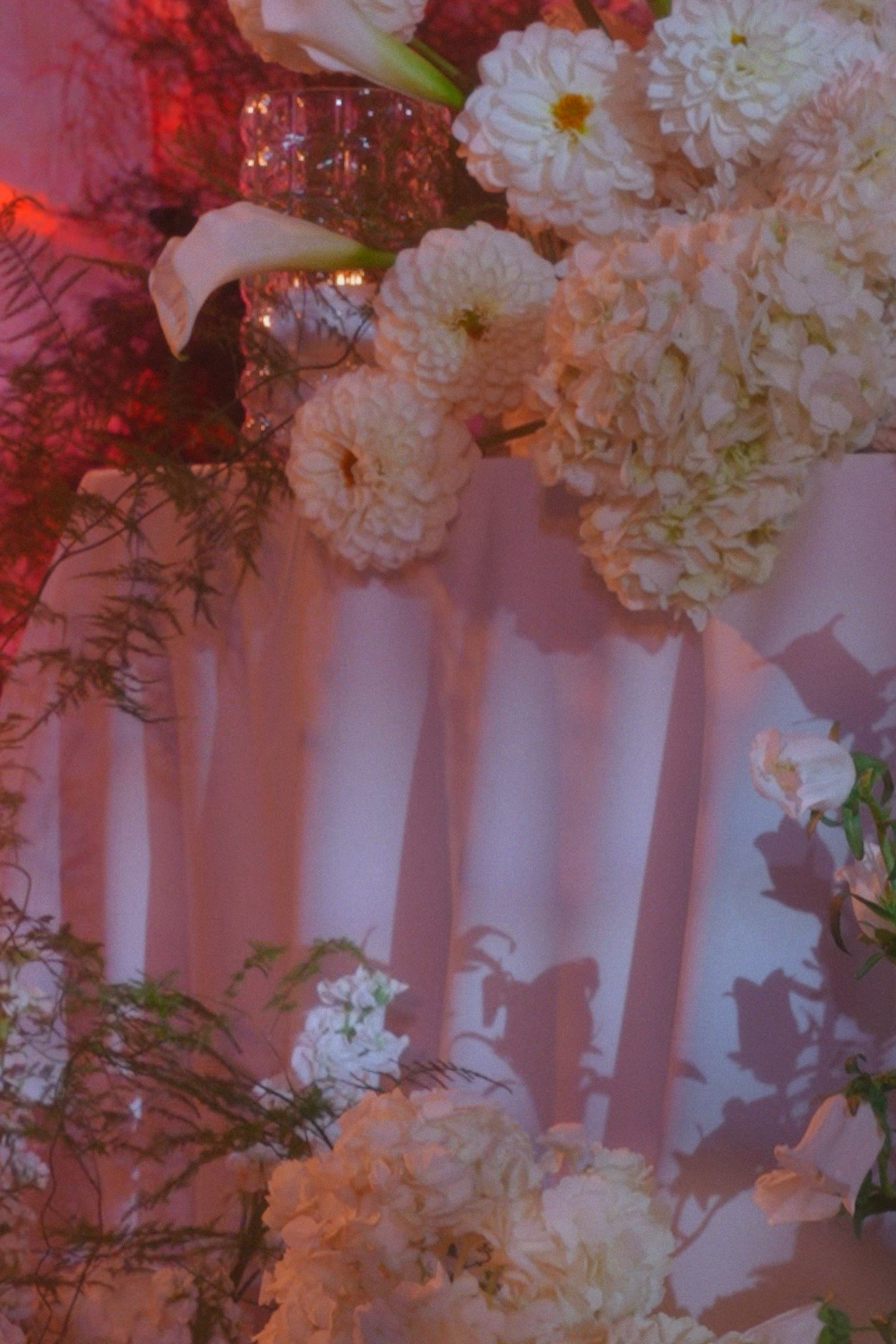 ИСТОРИИ. Агата Акварель видеограф Сочи Краснодар