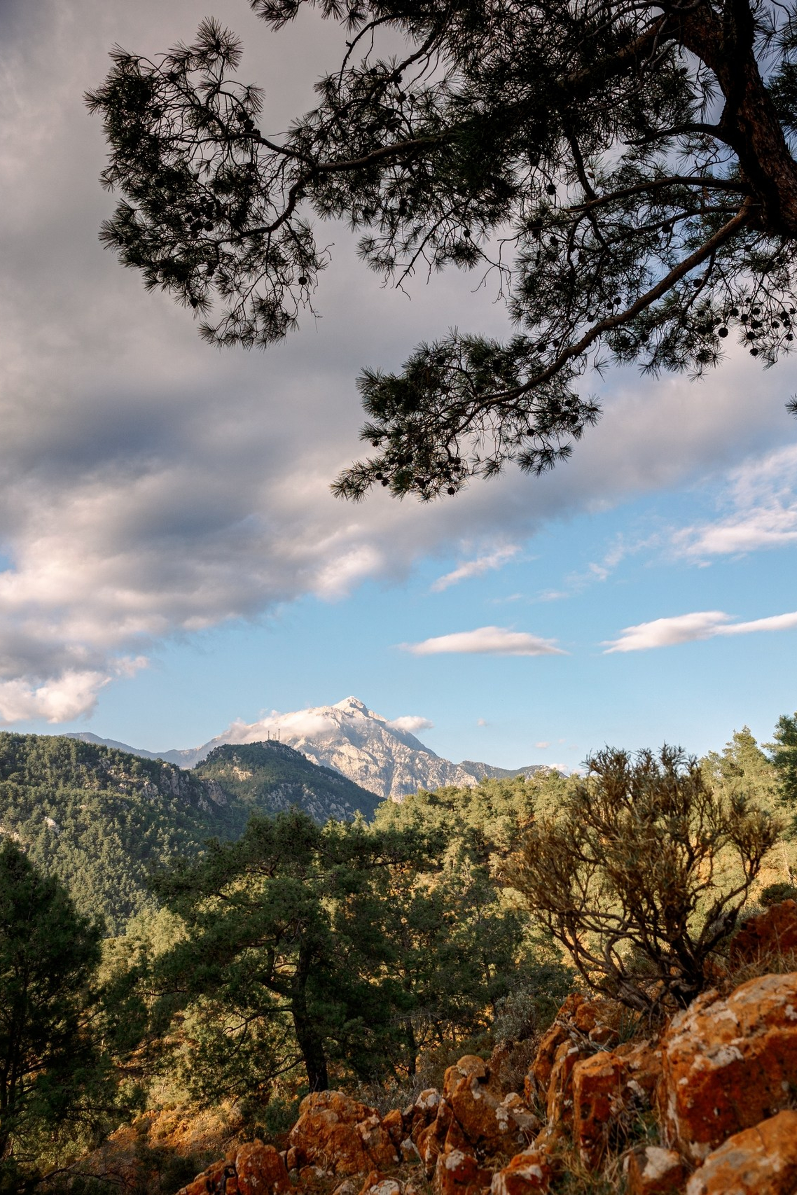 Экспертные посты о фотографии