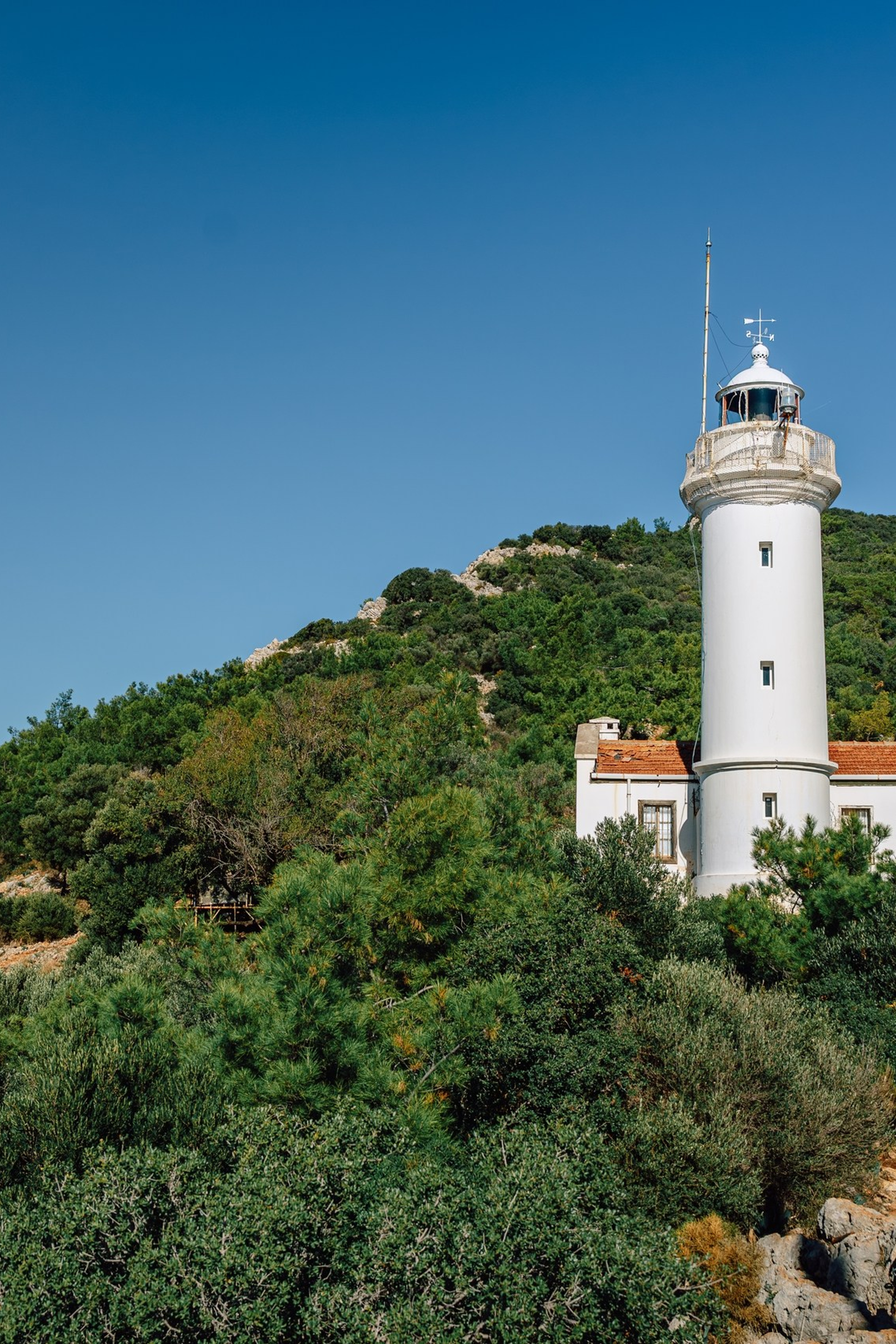 Экспертные посты о фотографии