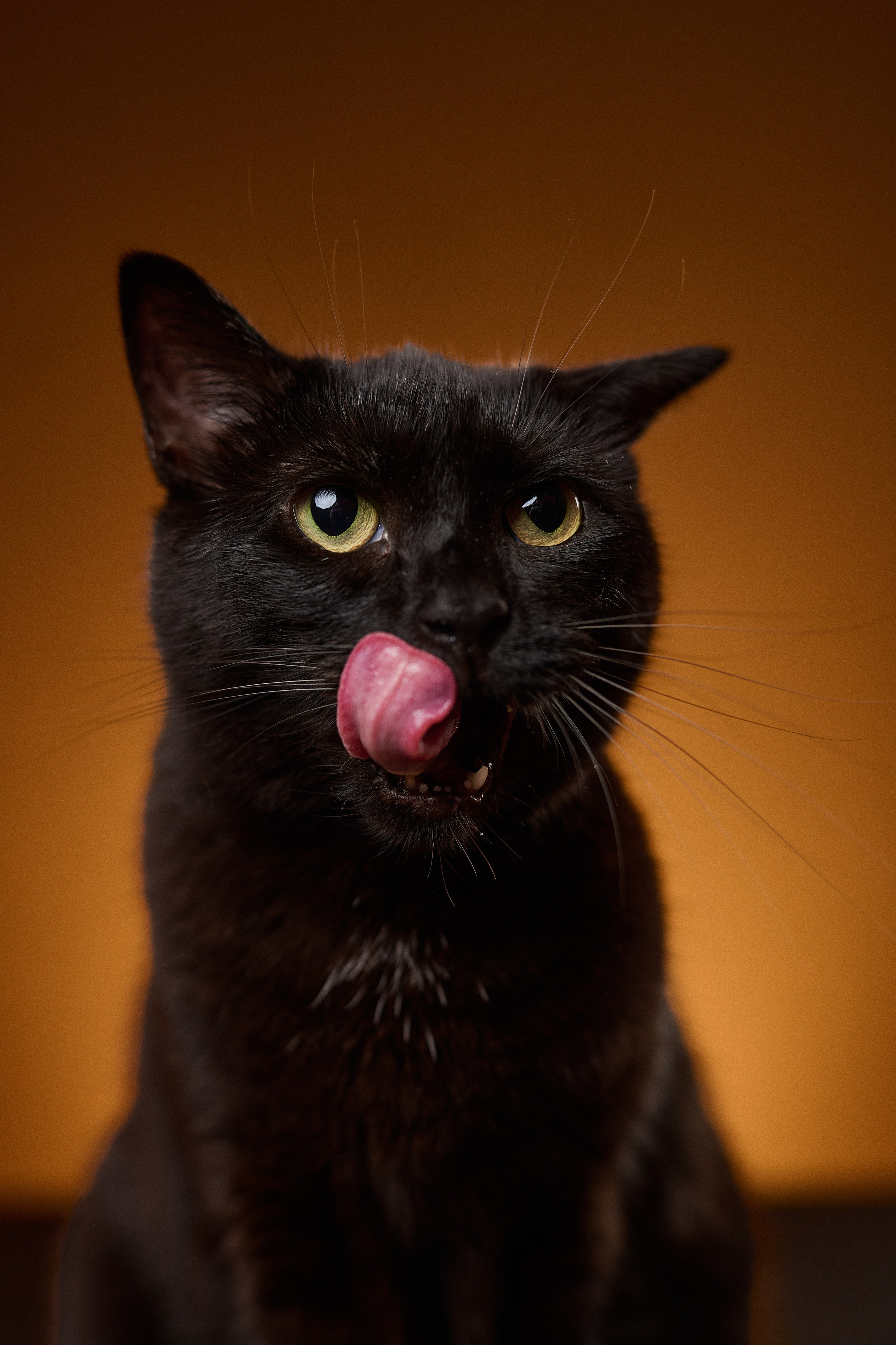 Полезные статьи для фотографа и заказчиков