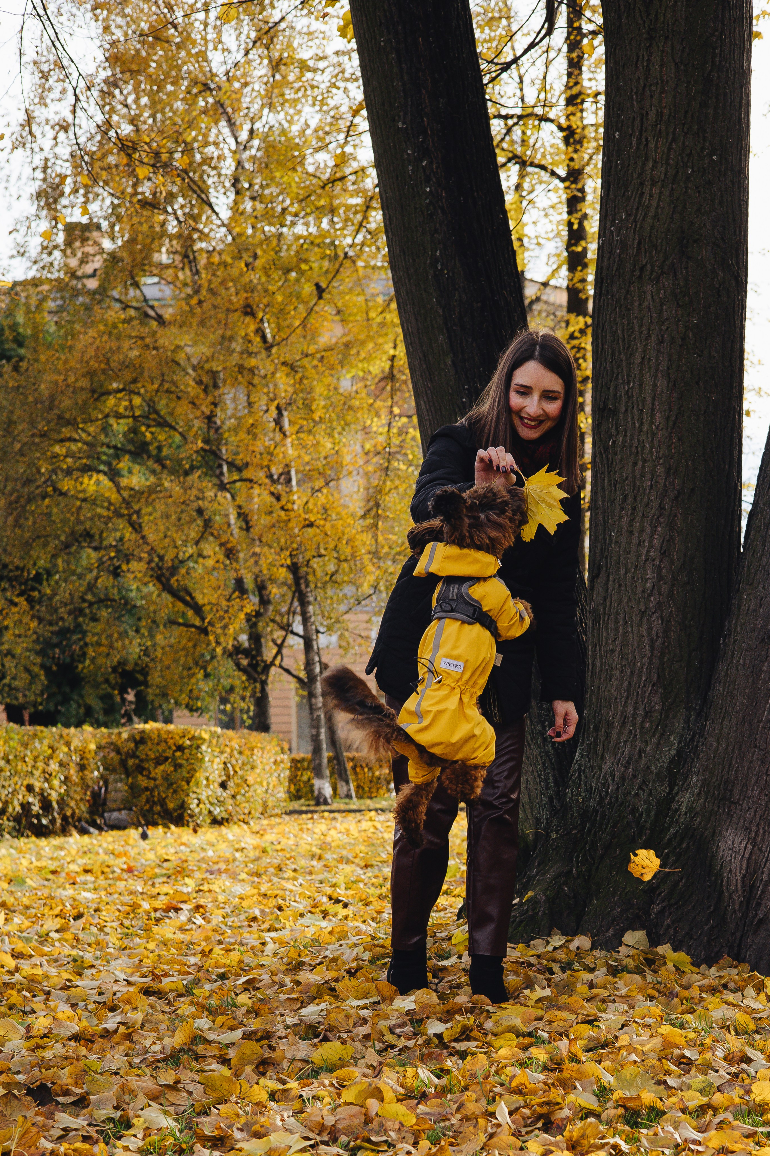 Летающая Мерси