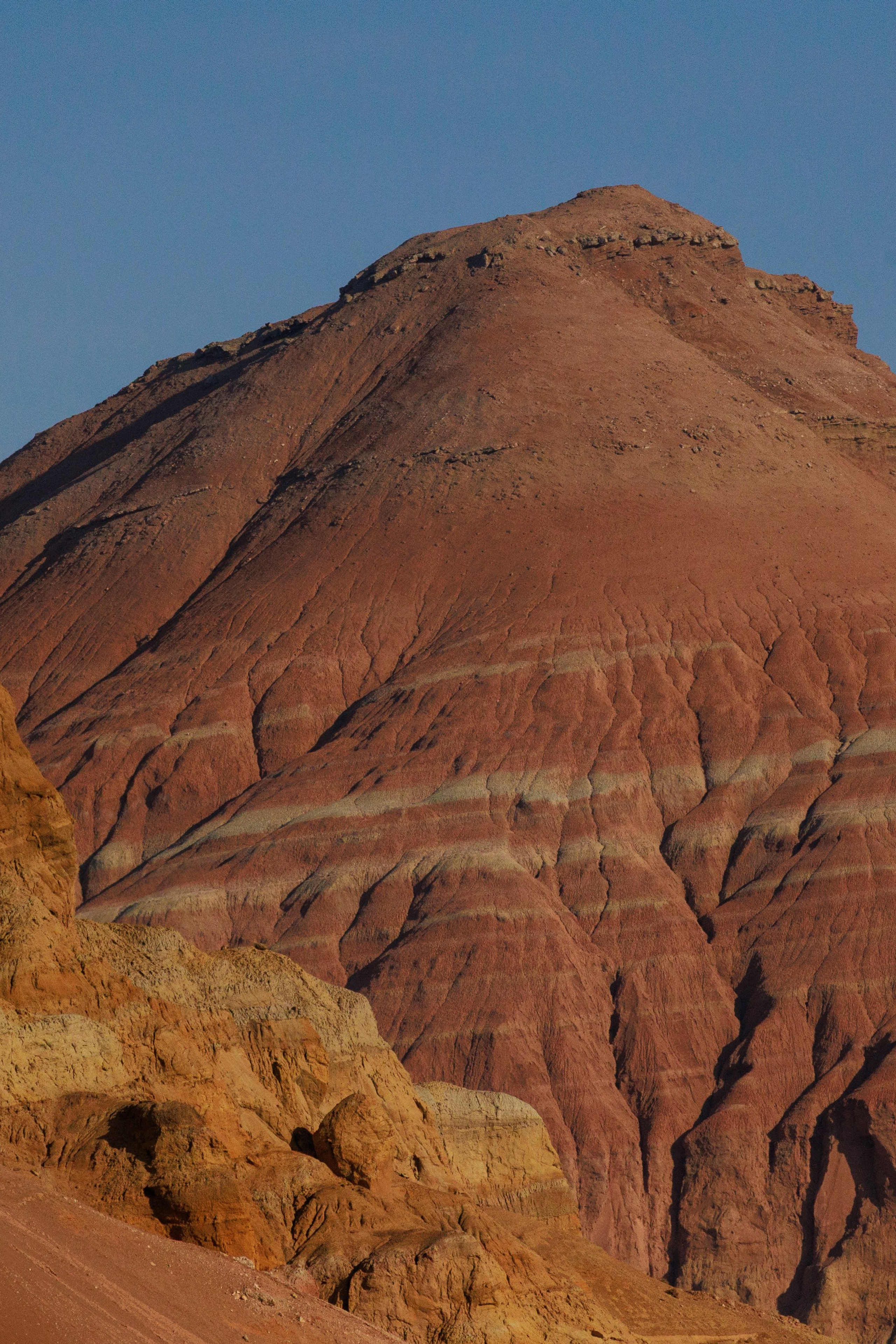 Мы любим путешествовать. Фотограф Мальнева Юлия в Липецке, в Москве. Фотостудия MARU в Липецке