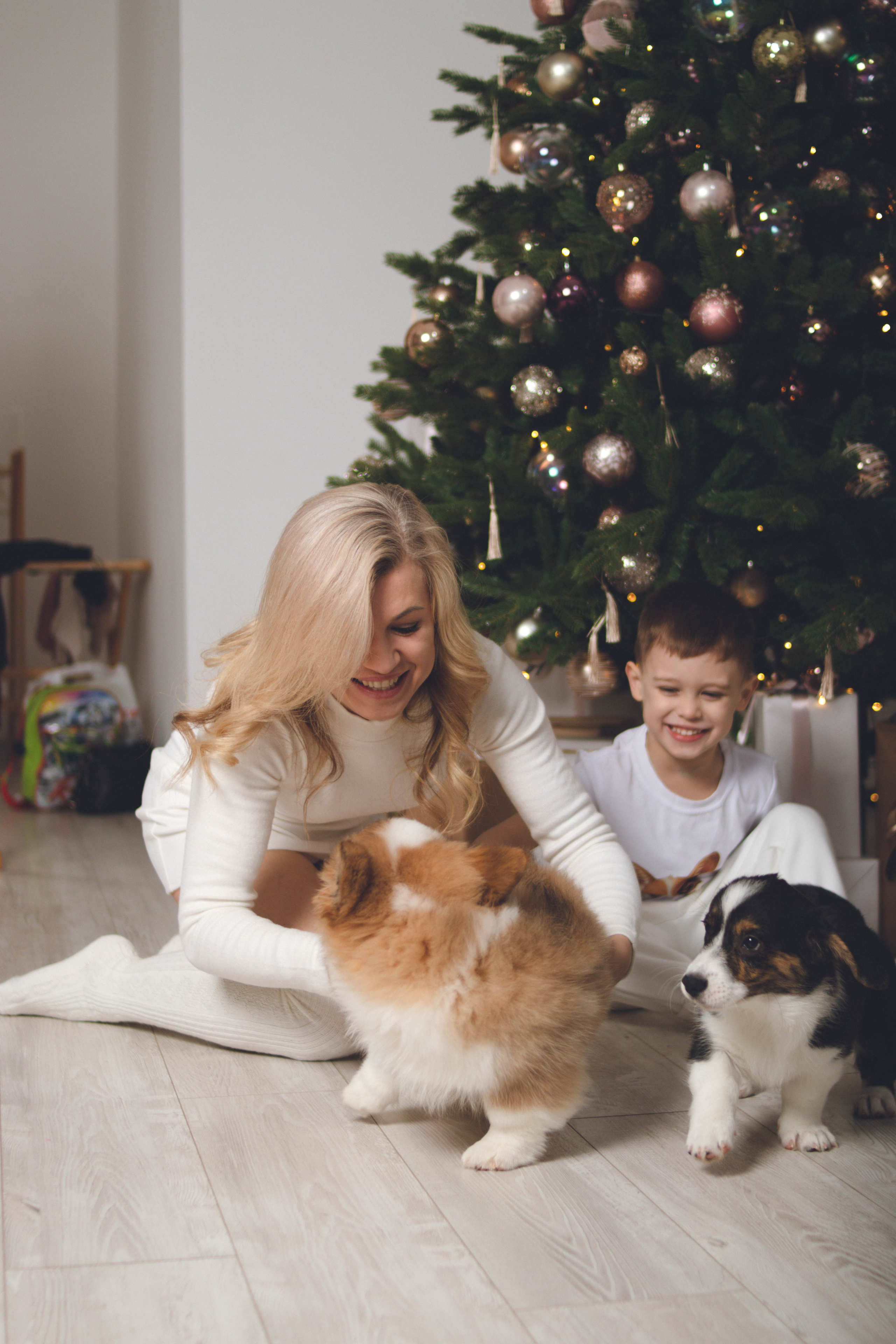 Семейная фотосессия с четвероногими друзьями. Фотограф в Санкт-Петербурге Полина Федорова