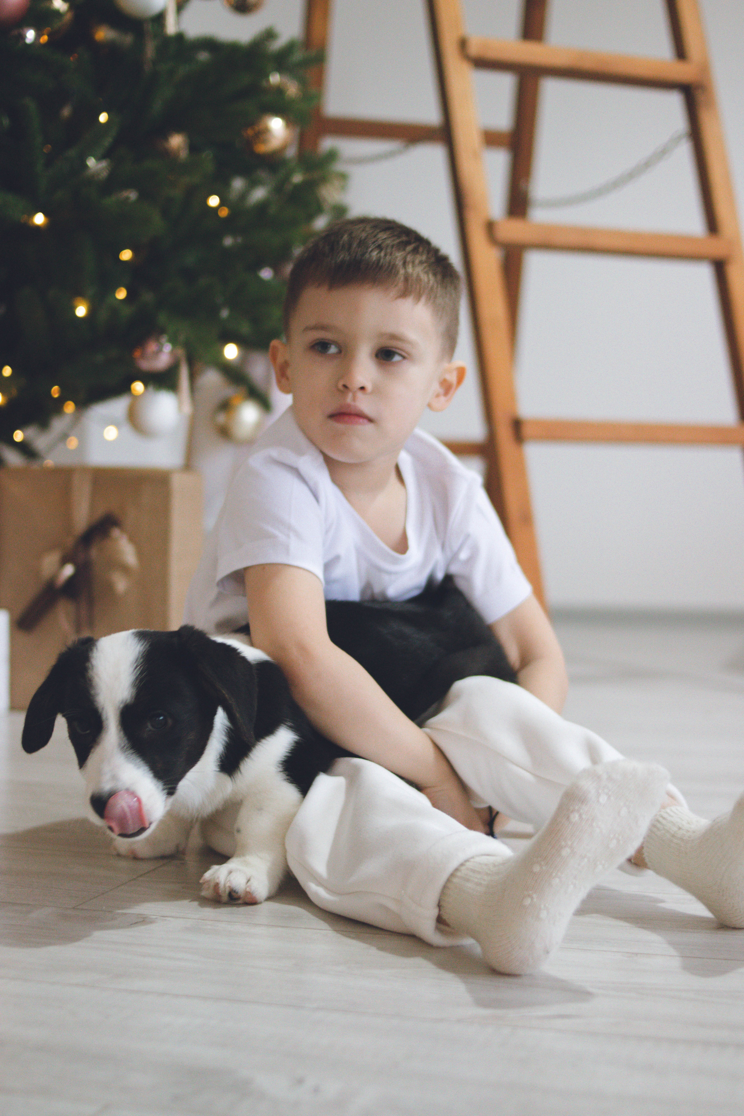 Семейная фотосессия с четвероногими друзьями. Фотограф в Санкт-Петербурге Полина Федорова