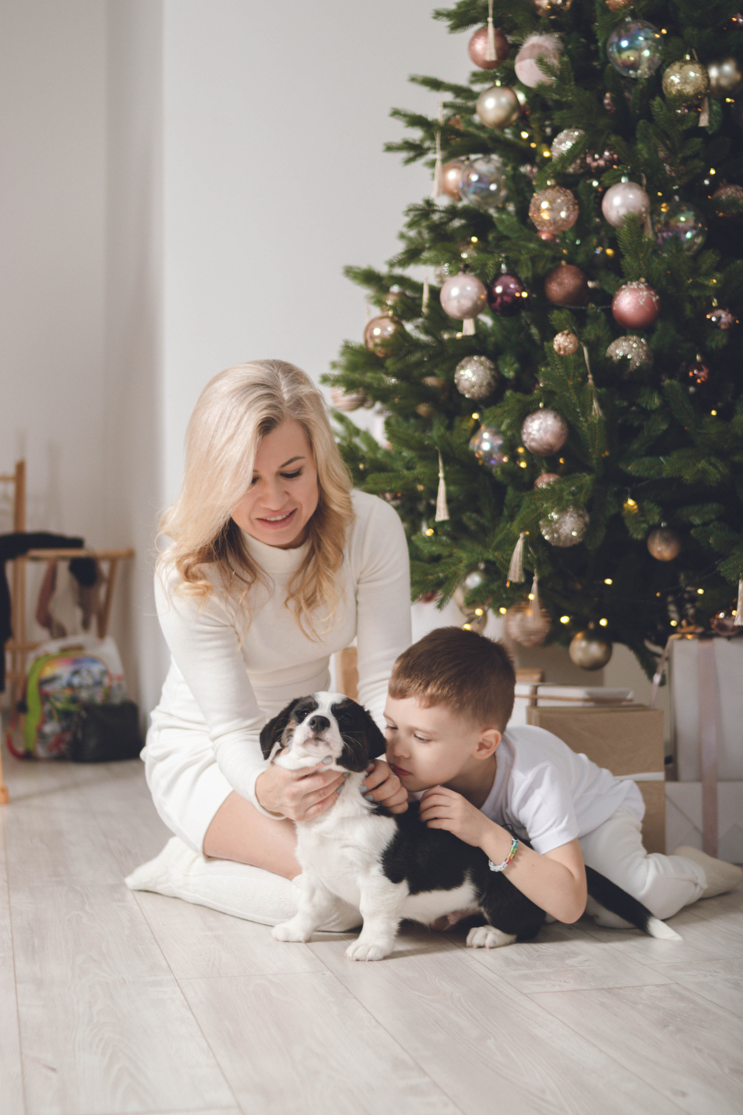 Семейная фотосессия с четвероногими друзьями. Фотограф в Санкт-Петербурге Полина Федорова