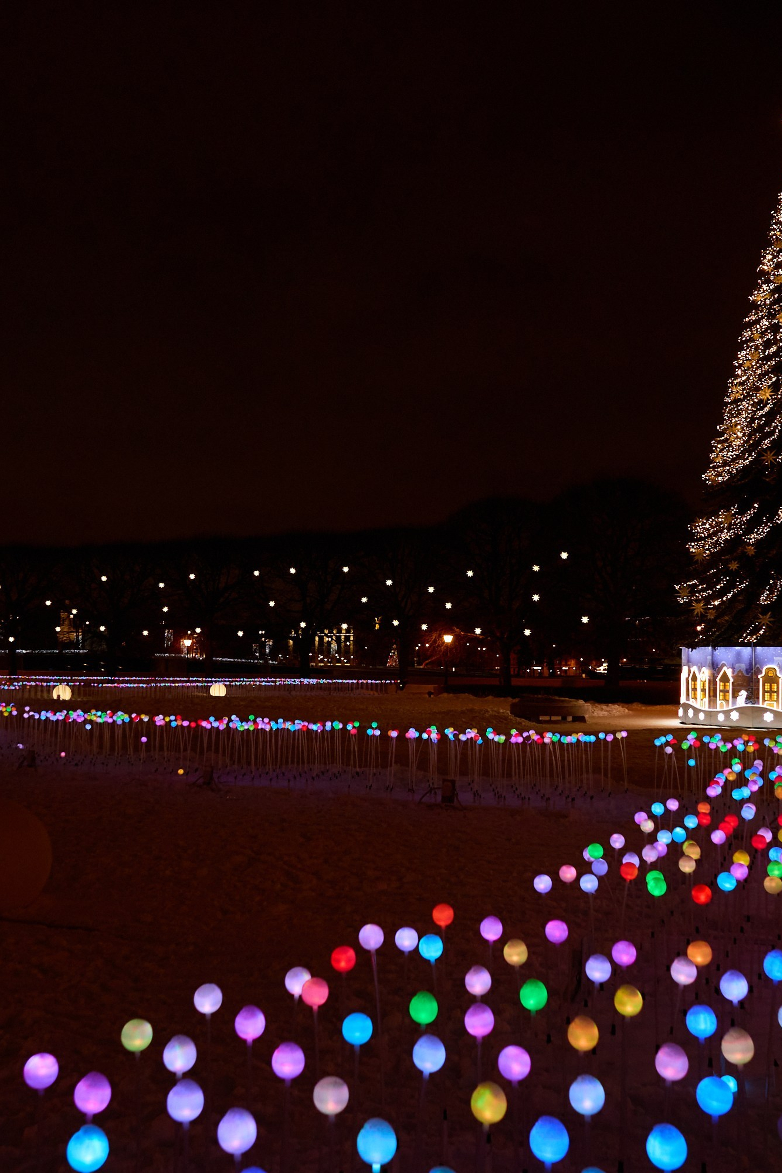 Фотографъ Сергѣевъ. Поймать мгновеніе