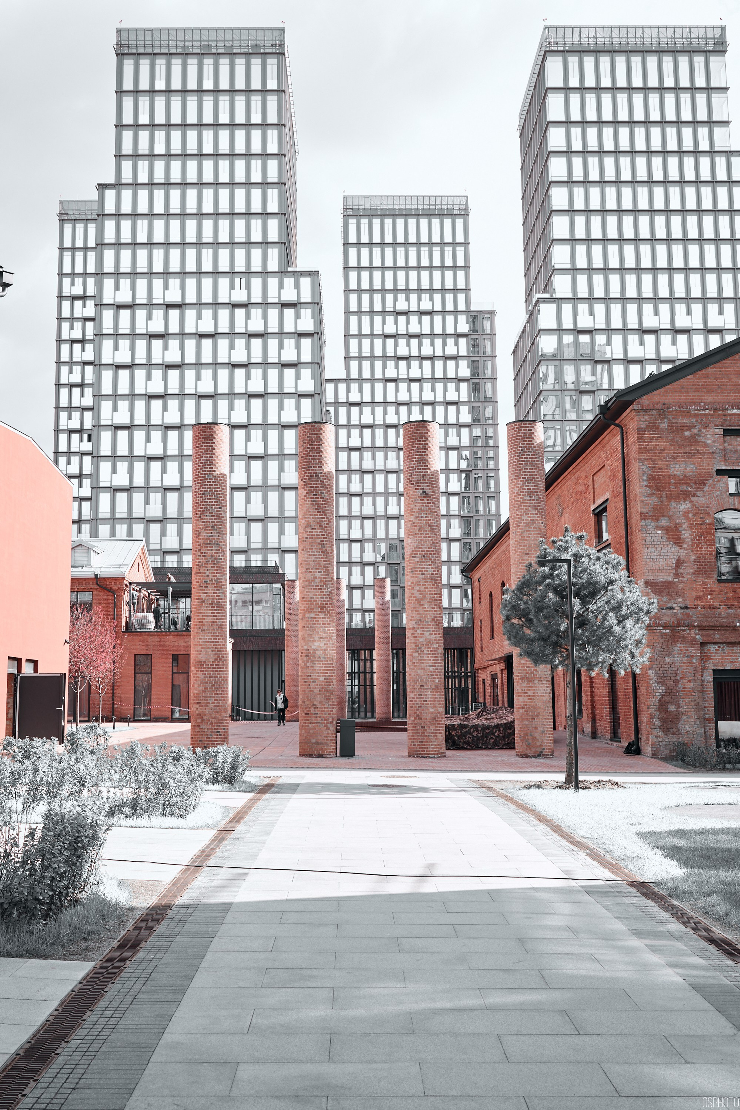 Фотографъ Сергѣевъ. Поймать мгновеніе