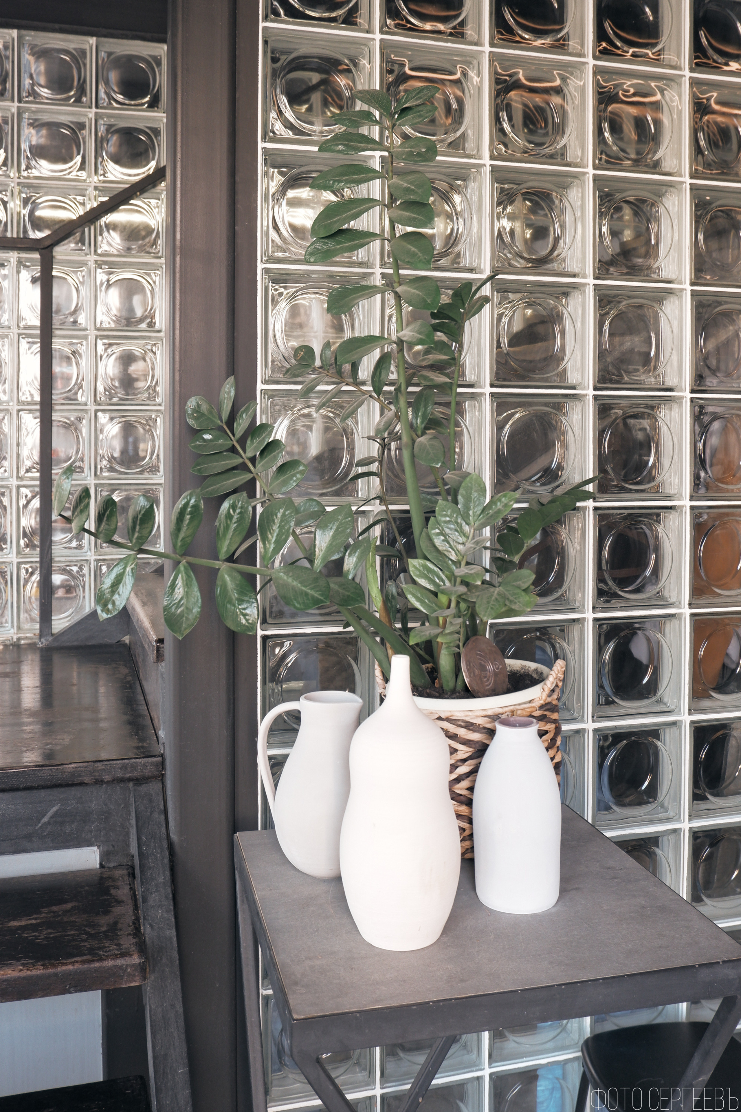 Фотографъ Сергѣевъ. Поймать мгновеніе