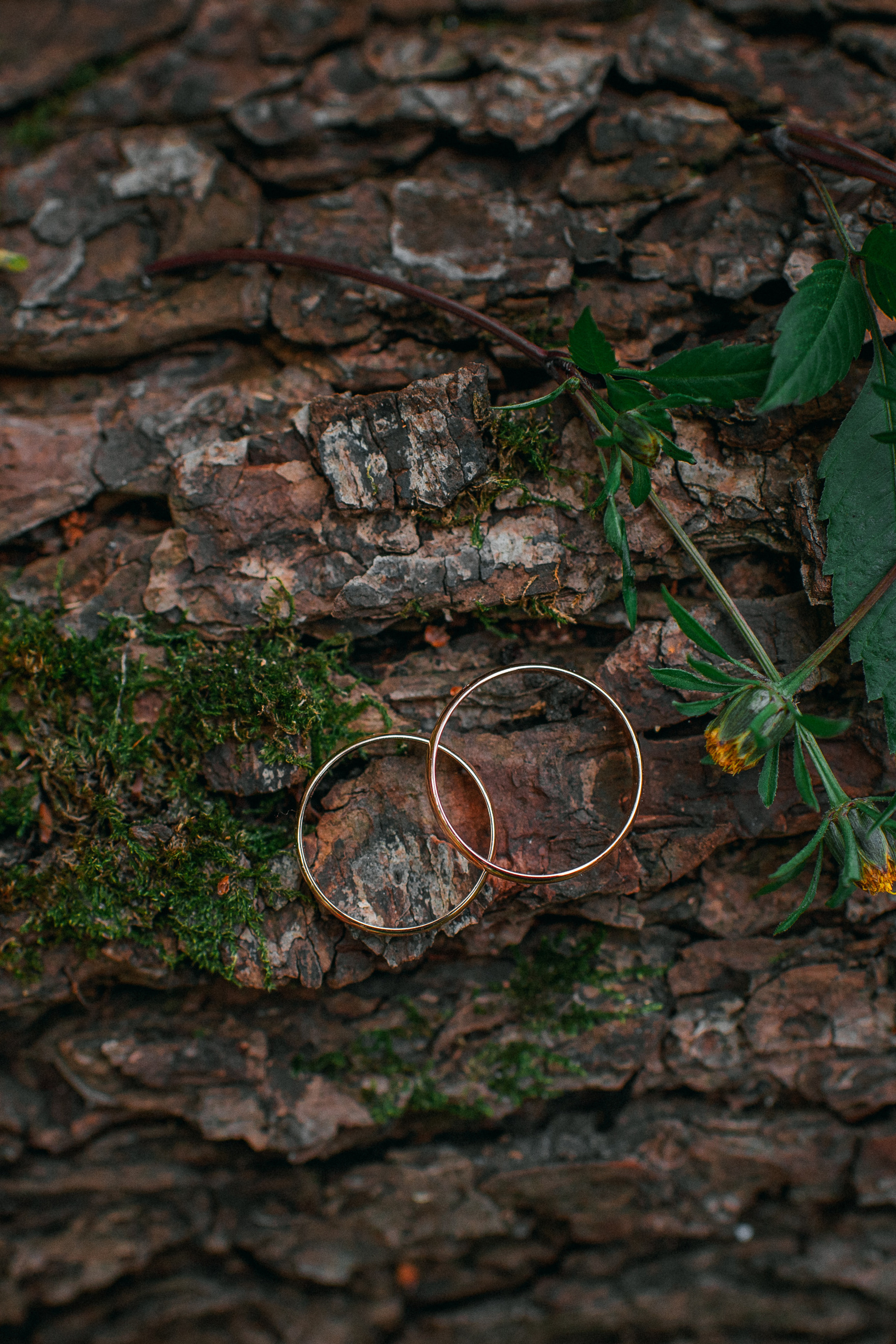 Свадебное фото молодоженов. Свадебный фотограф — фотограф на свадьбу в Воронеже — Свадебное фото