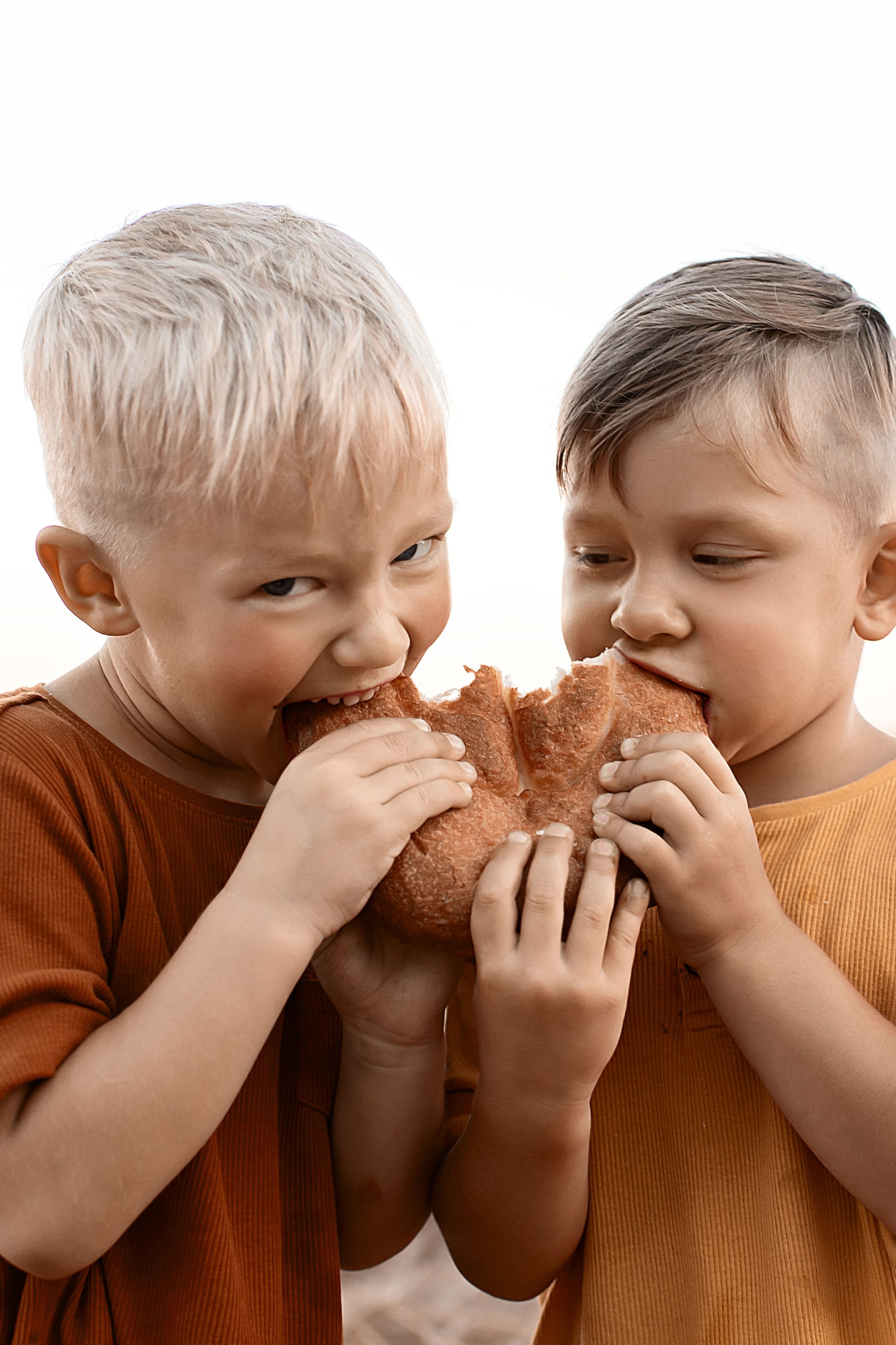 Лето в поле