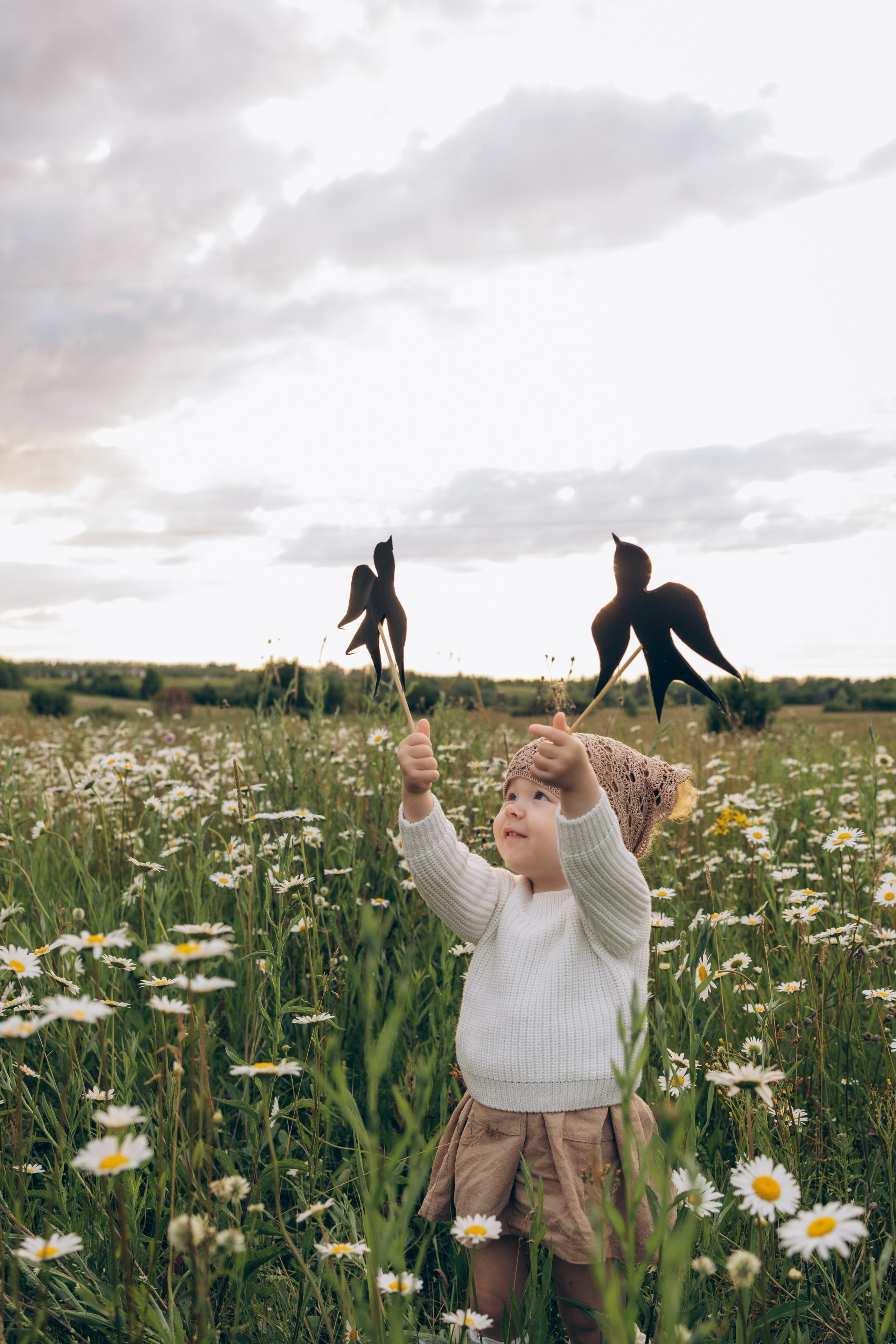 Мира и ромашки