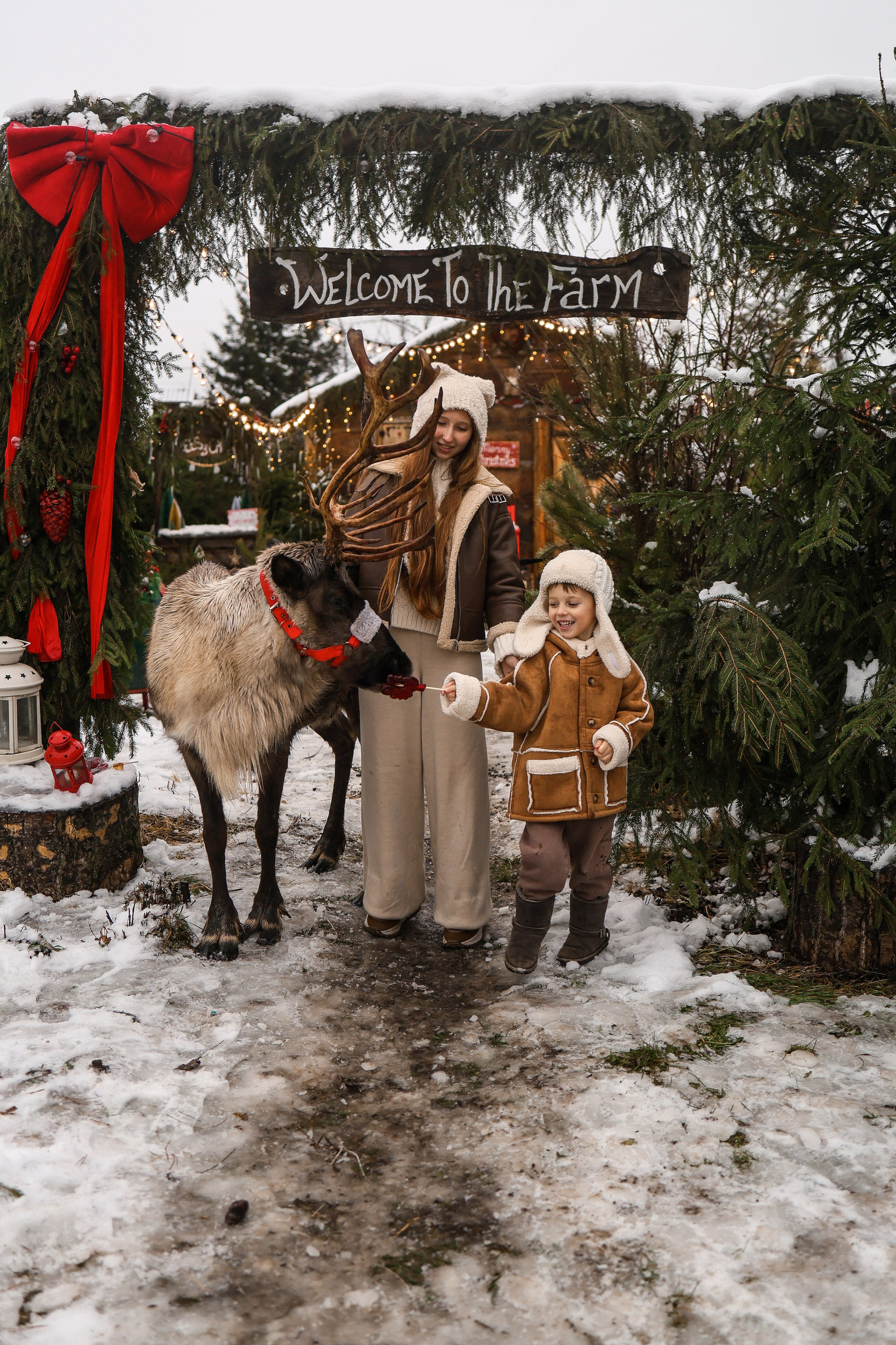 В Гостях у Санты и Северных оленей