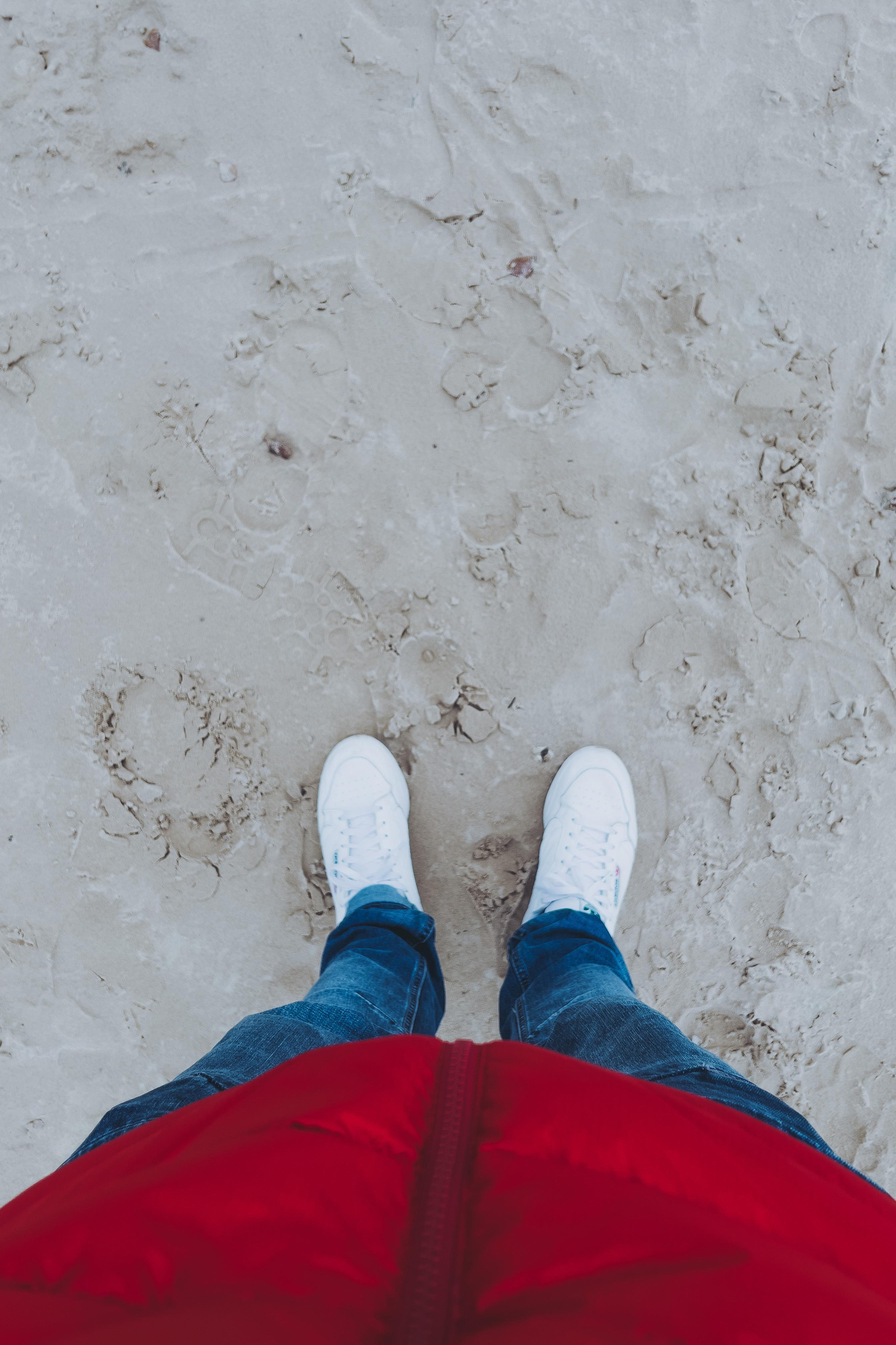 Lifestyle. Beardy Tech