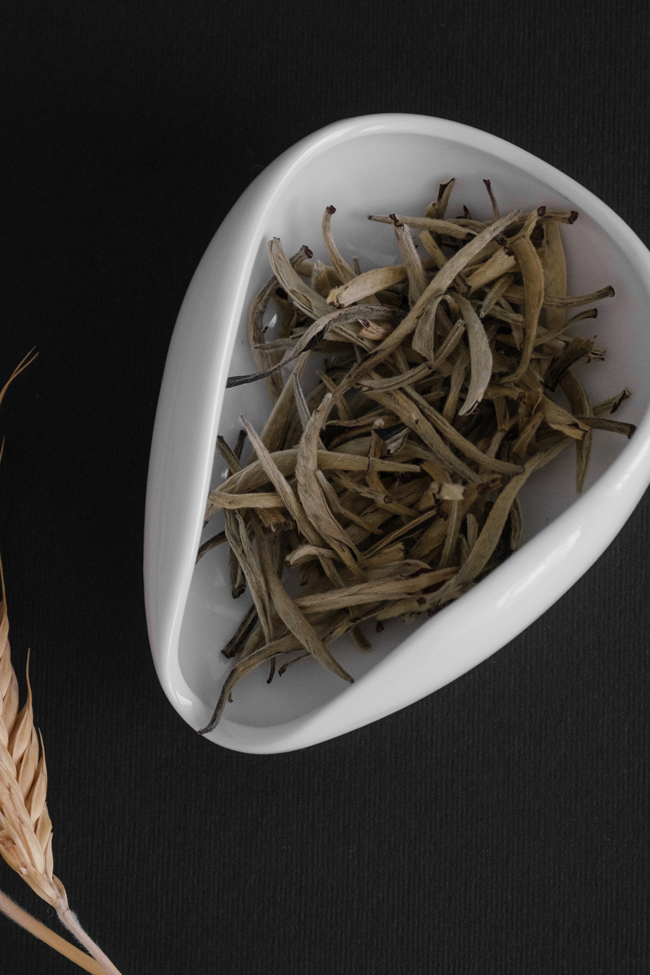 Отзывы. Фотограф Нижнекамск Набережные Челны