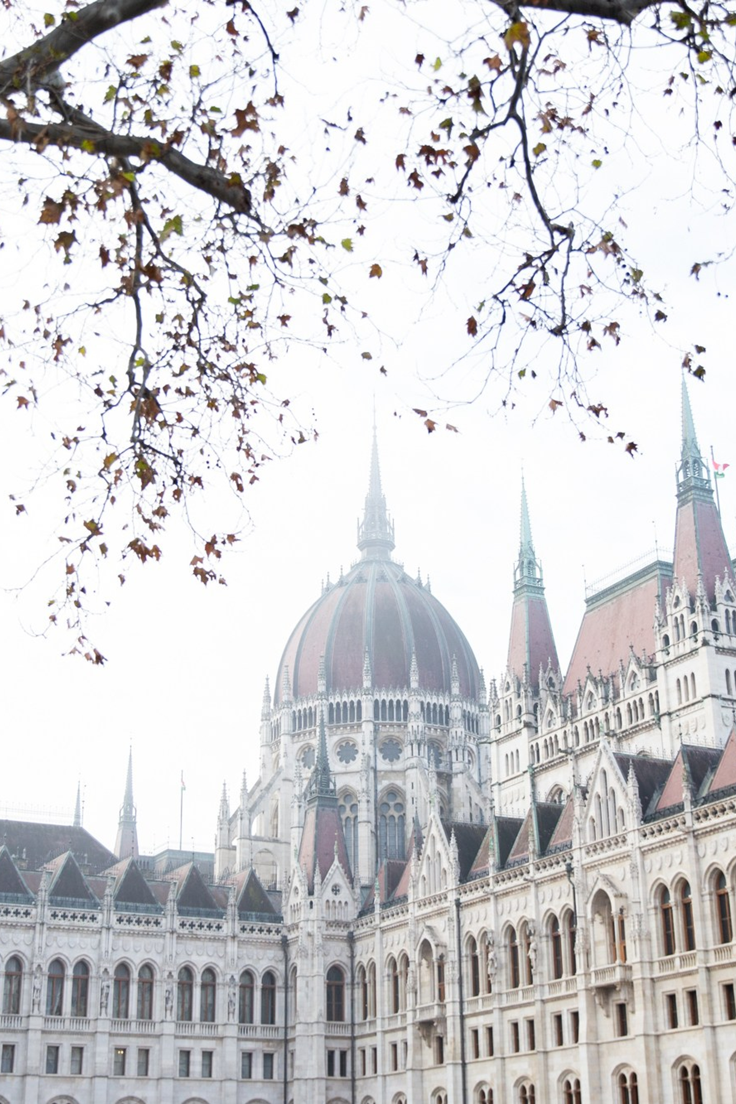 Blog. Photographer in Budapest  — Yura Knyazev