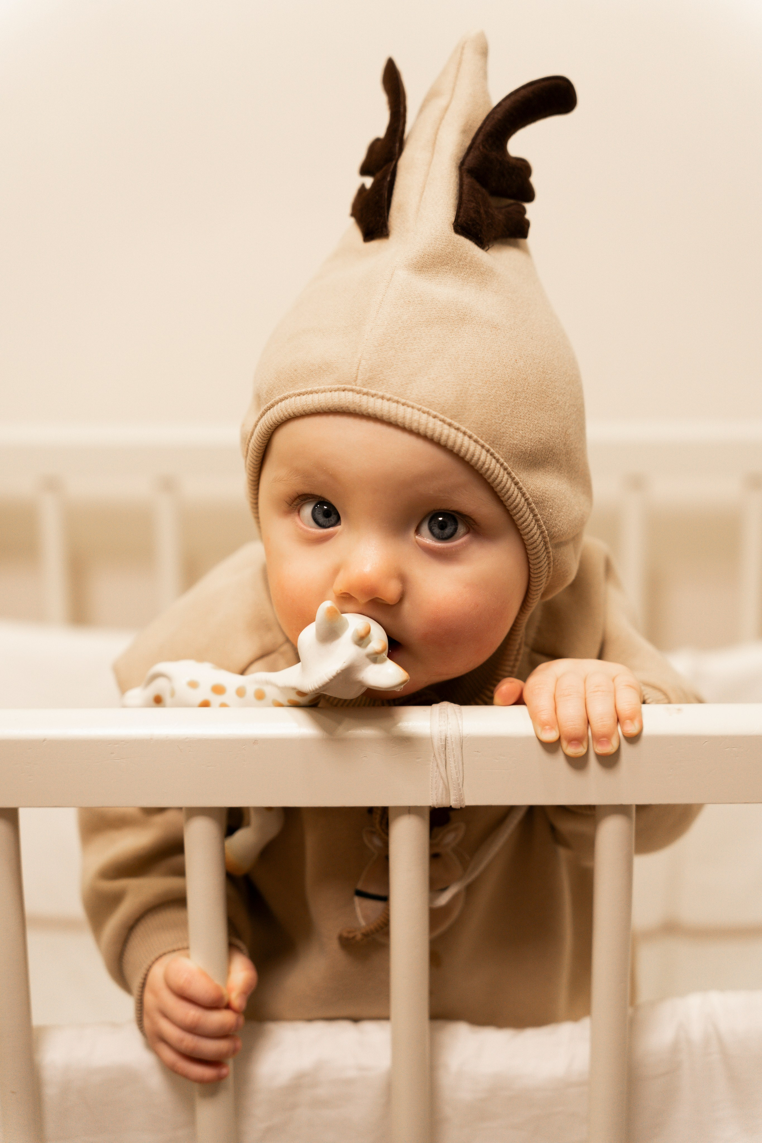 Новогодние тройняшки