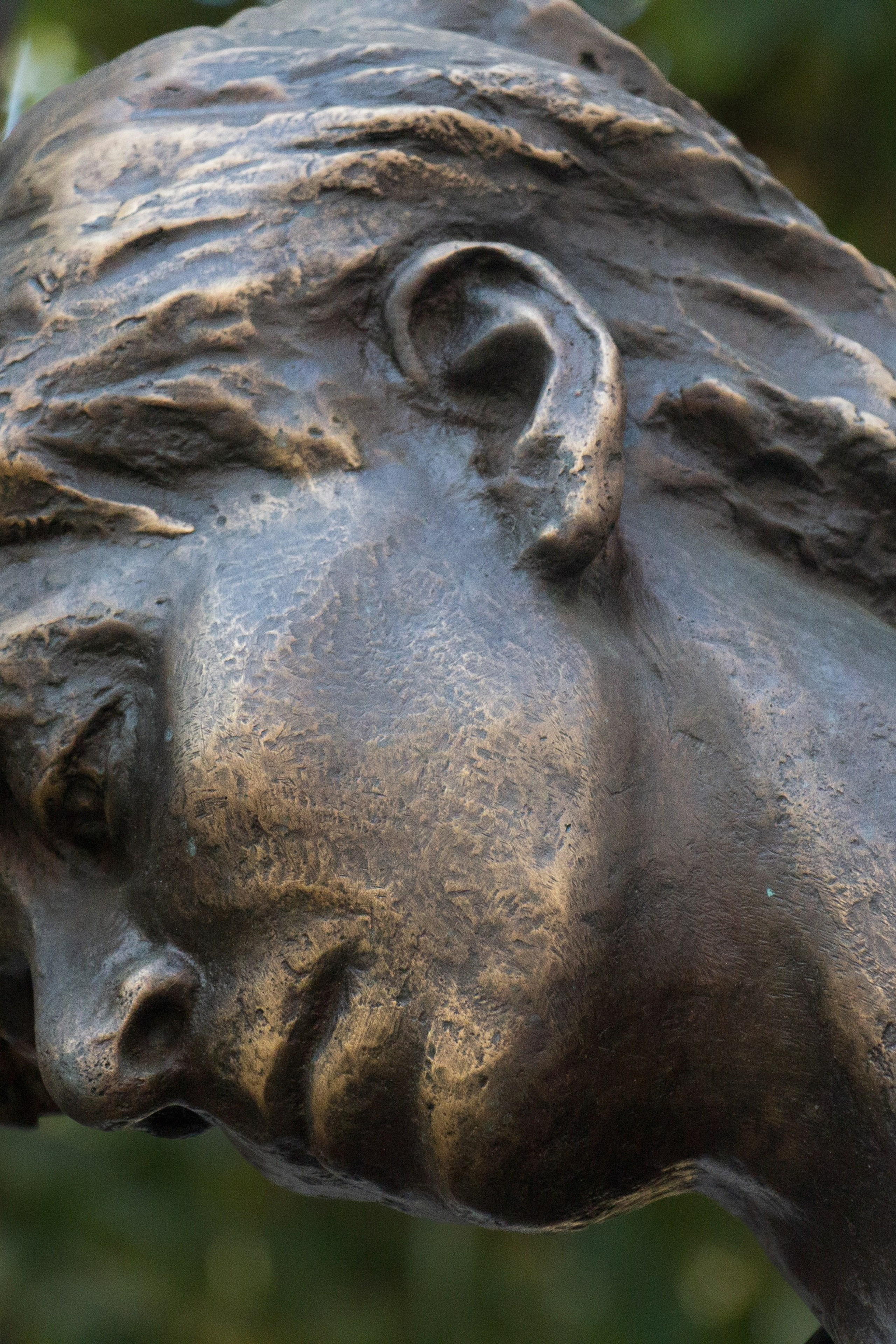 Репортаж с открытия памятника Доктору Лизе